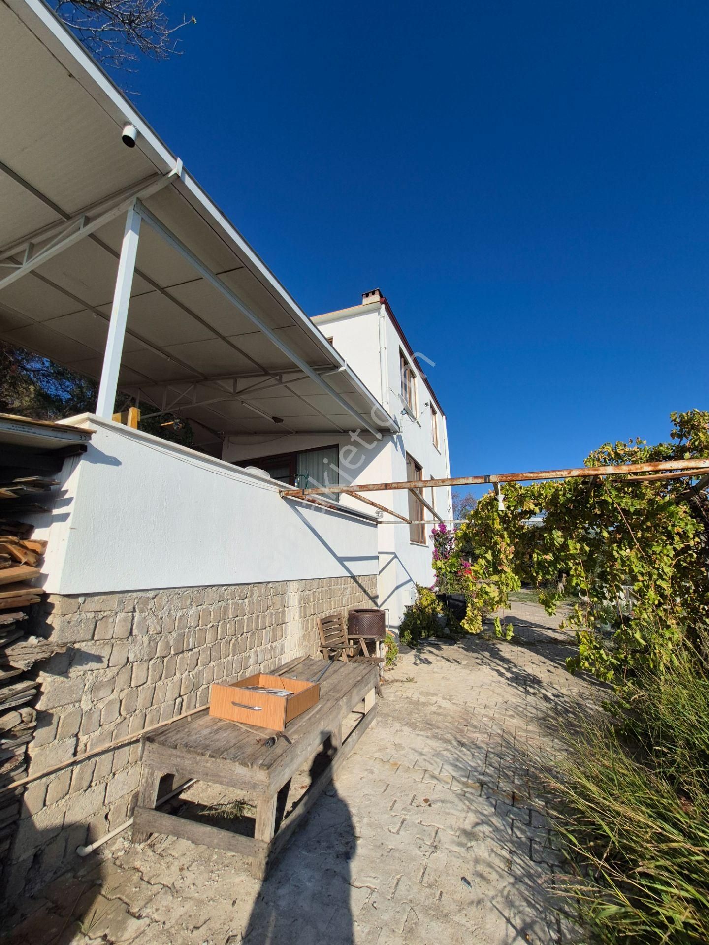 İsabeyli'de 14 Dönüm Satılık Zeytin Bahçesi - Görsel 16