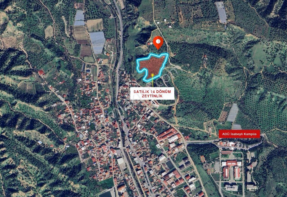 İsabeyli'de 14 Dönüm Satılık Zeytin Bahçesi - Görsel 24