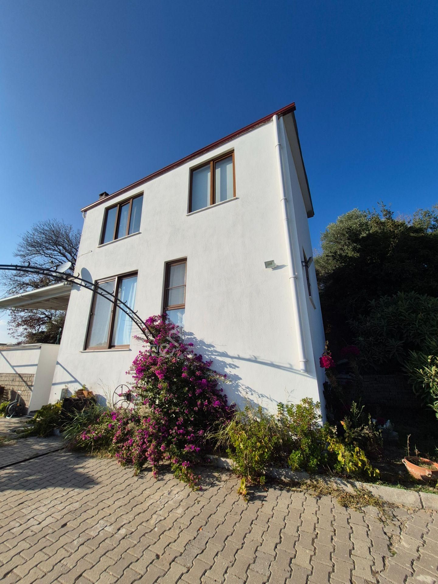 İsabeyli'de 14 Dönüm Satılık Zeytin Bahçesi - Görsel 15