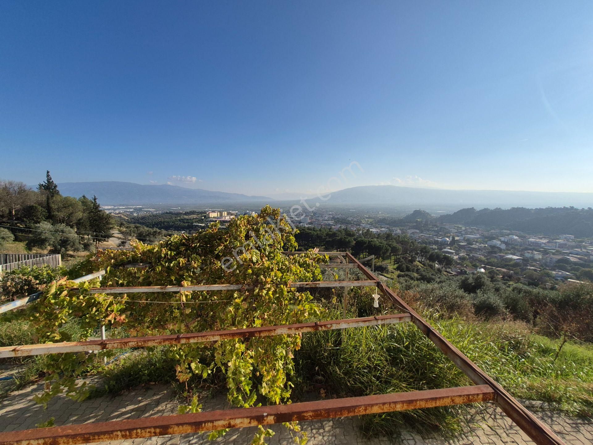 İsabeyli'de 14 Dönüm Satılık Zeytin Bahçesi - Görsel 19