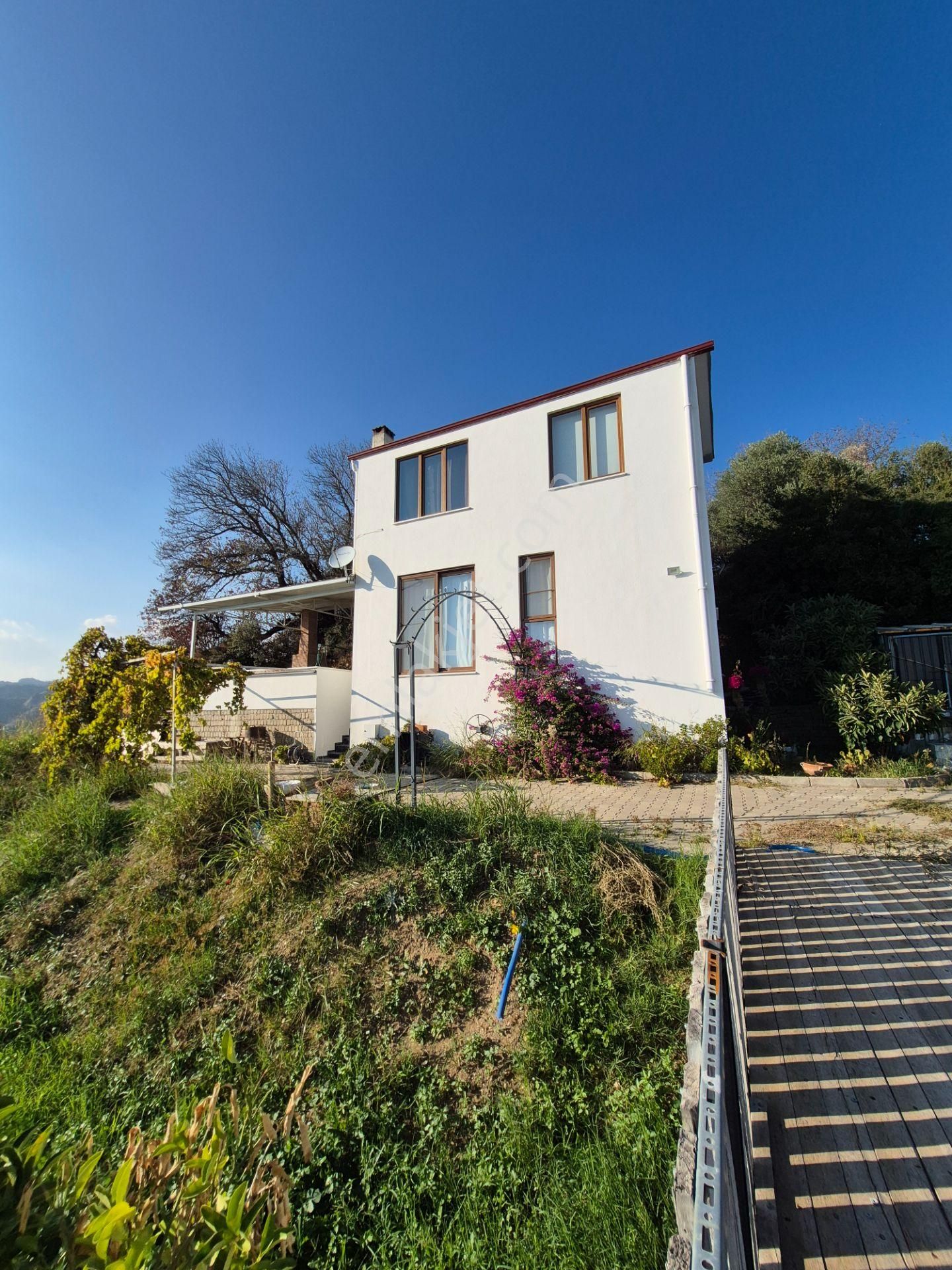 İsabeyli'de 14 Dönüm Satılık Zeytin Bahçesi - Görsel 14