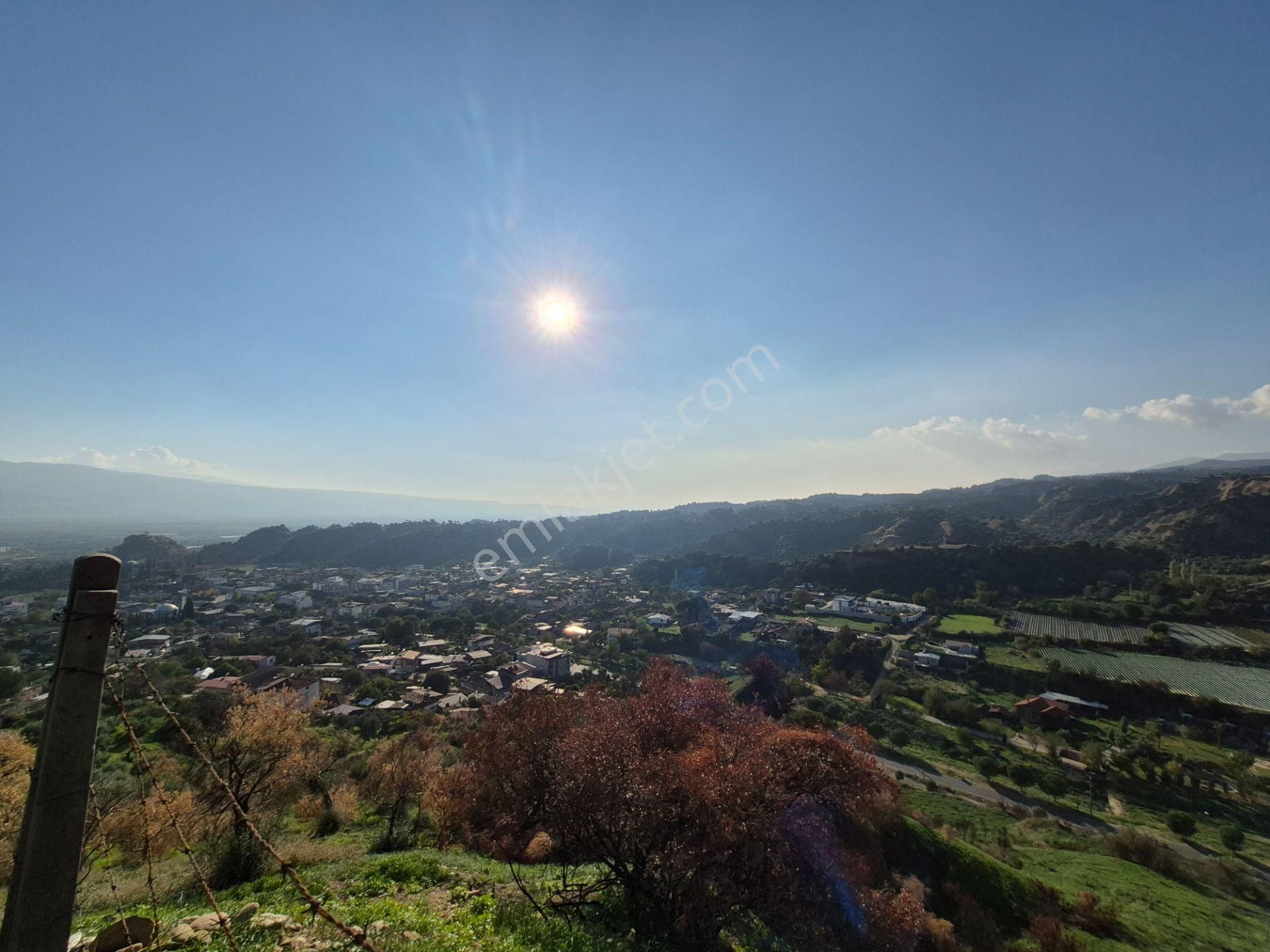 İsabeyli'de 14 Dönüm Satılık Zeytin Bahçesi - Görsel 7