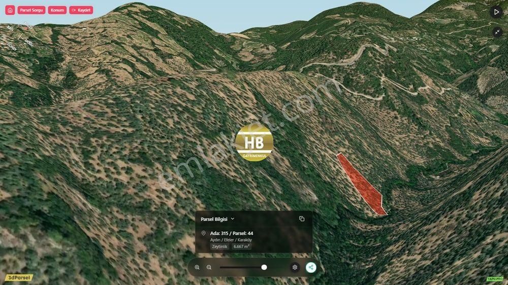 Hb'den Satılık Zeytinlik, Karaköy'de Yatırımlık Fırsat - Görsel 5