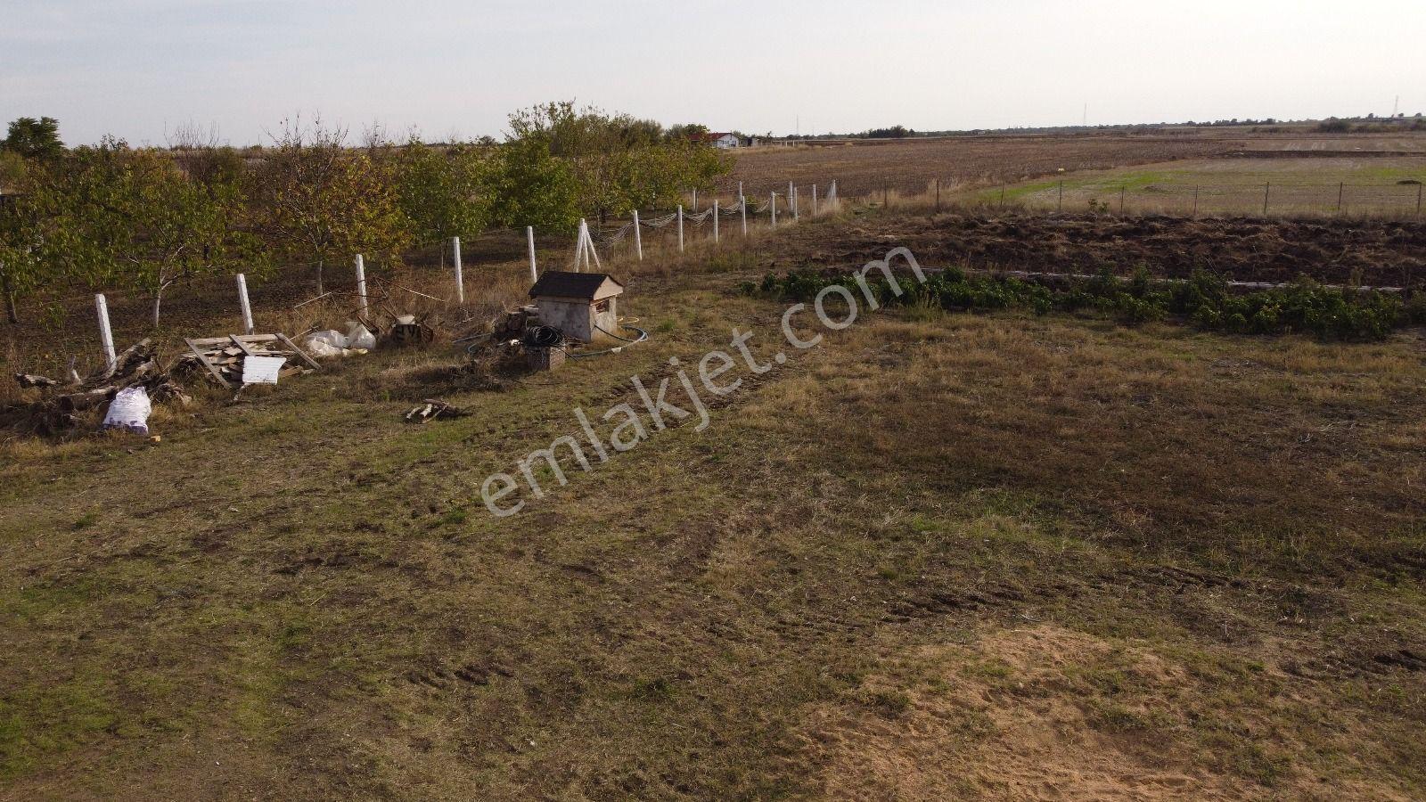 Eriklice Köyünde Satılık Etrafi Cevrili Tarla - Görsel 11