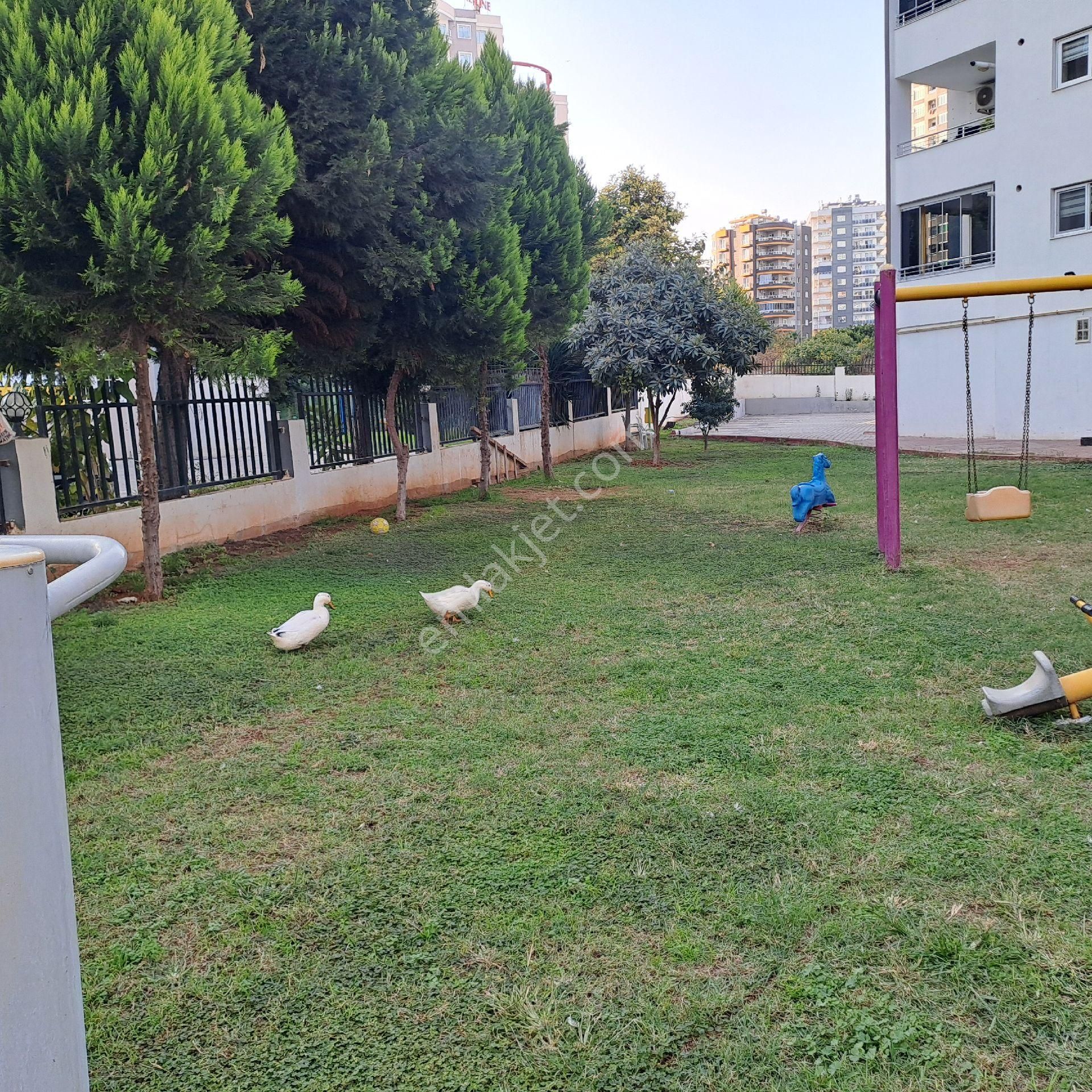 Asya' Dan Nezih Aile Apartmanı Doğalgazlı Yenişehir - Görsel 2