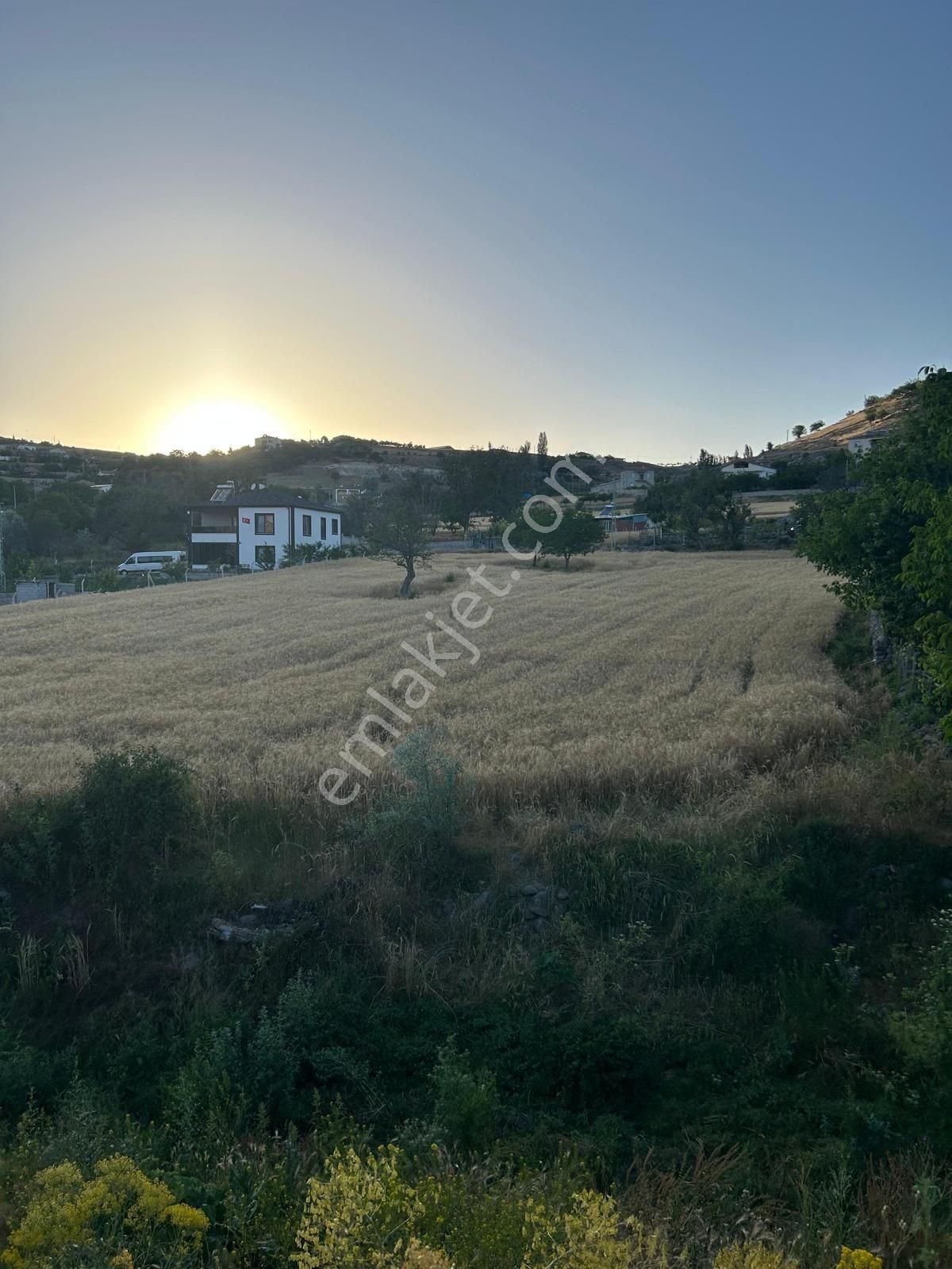 Molu Da Yol Kenarı Da Satılık Bağ Bahçe