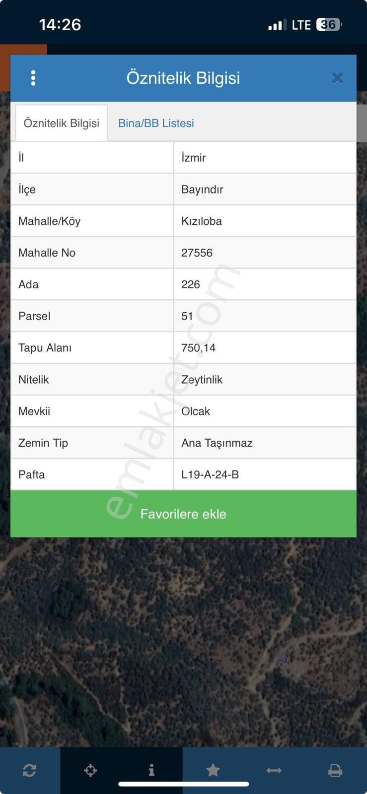 İzmir Bayındır Satılık Zeytinlik - Görsel 2