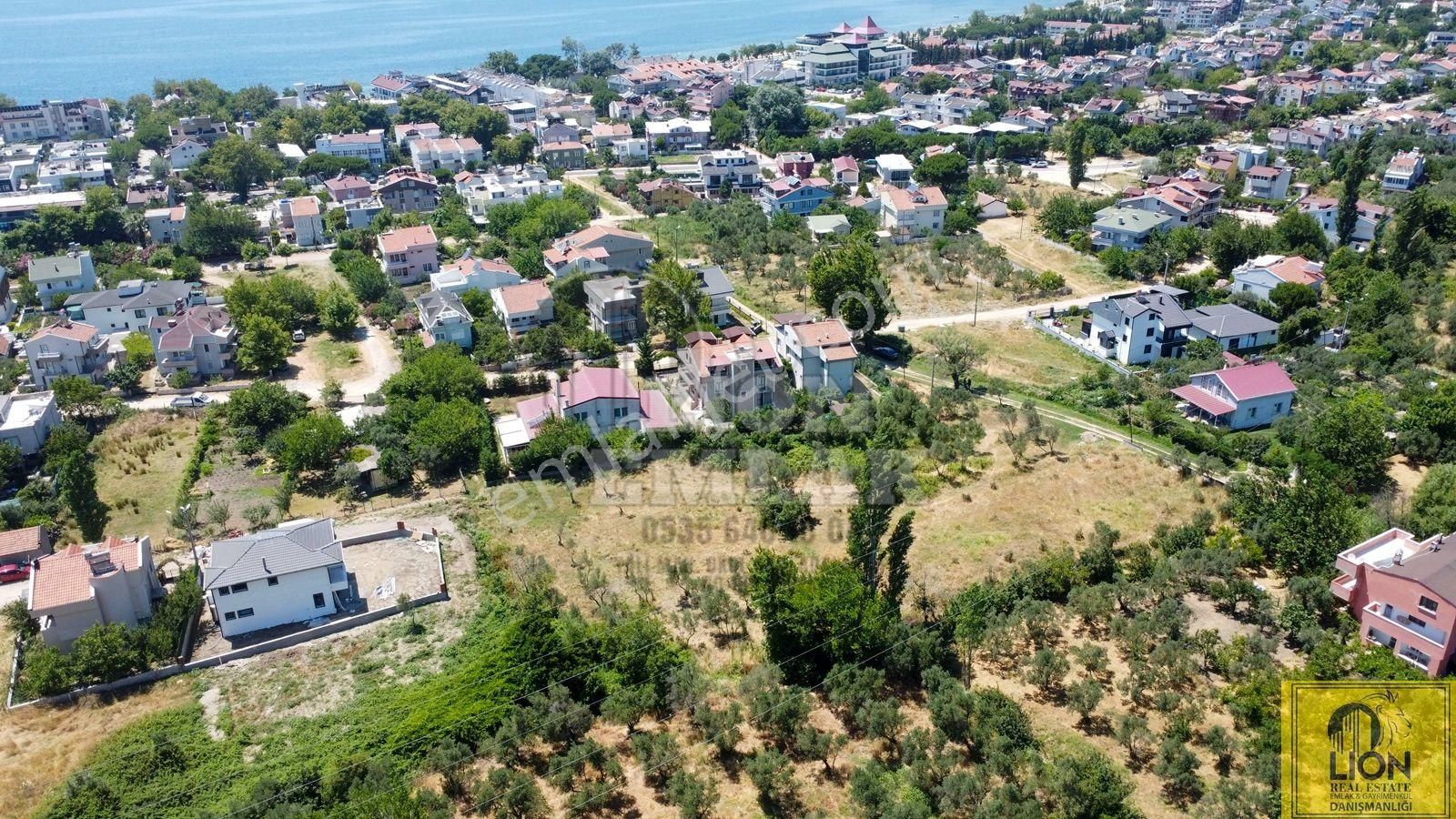 🟨⬛lıon Emlak'tan Erdek Ocaklar Mahallesinde Yatırımlık 1.600m² Satılık Zeytinlik⬛🟨 - Görsel 8