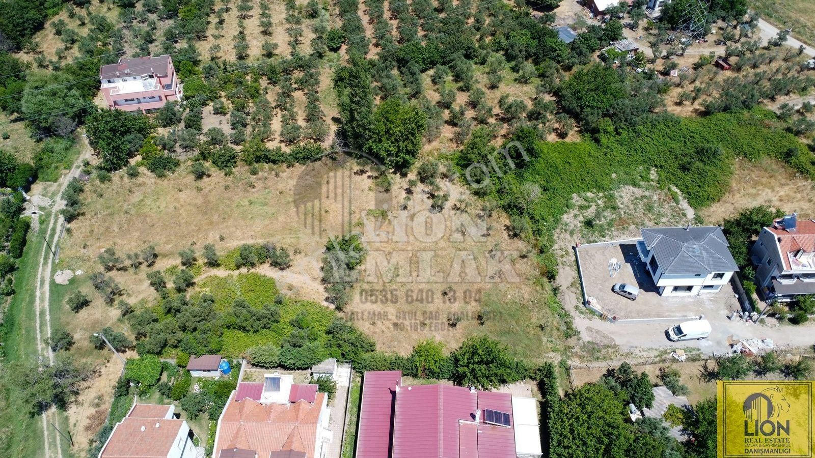 🟨⬛lıon Emlak'tan Erdek Ocaklar Mahallesinde Yatırımlık 1.600m² Satılık Zeytinlik⬛🟨 - Görsel 15