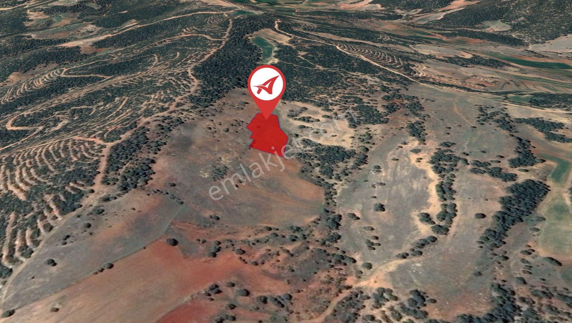 Afyonkarahisar-başmakçı-çığrı-satılık 4387m2-tarla - Görsel 6