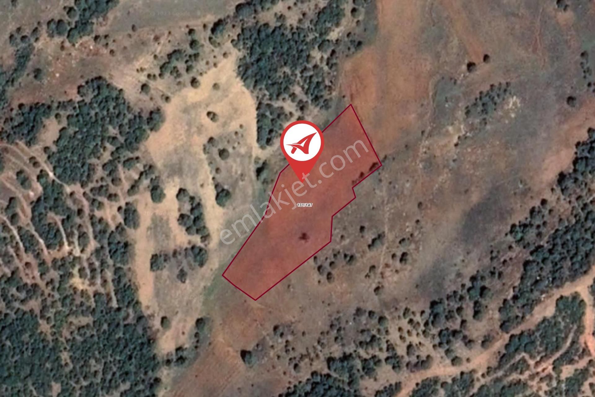 Afyonkarahisar-başmakçı-çığrı-satılık 4387m2-tarla - Görsel 10