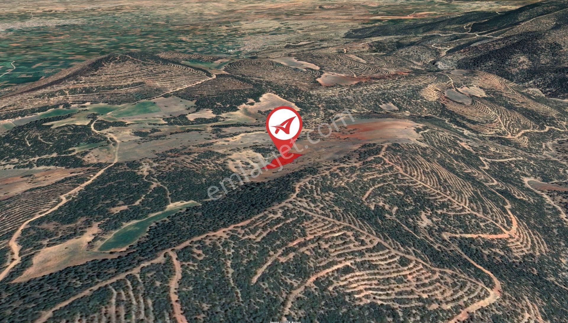 Afyonkarahisar-başmakçı-çığrı-satılık 4387m2-tarla - Görsel 4