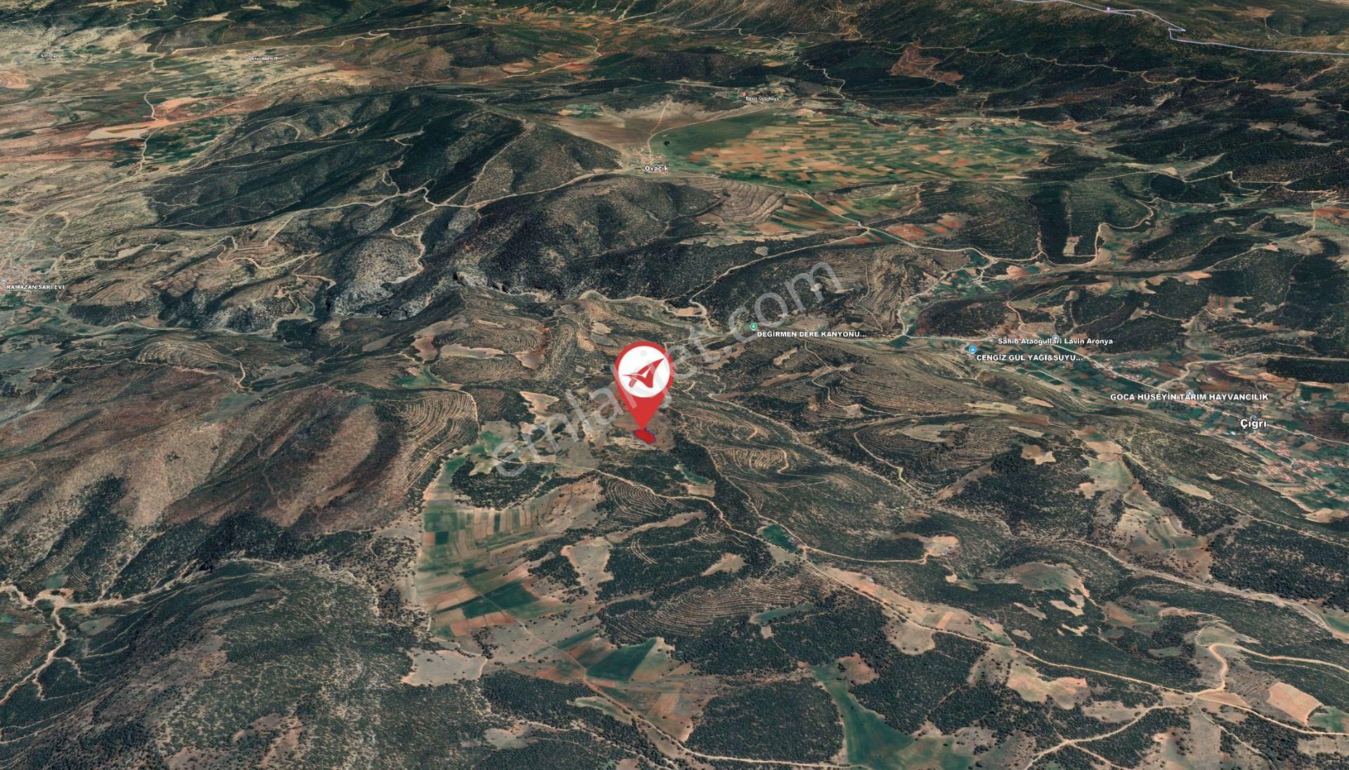 Afyonkarahisar-başmakçı-çığrı-satılık 4387m2-tarla - Görsel 9