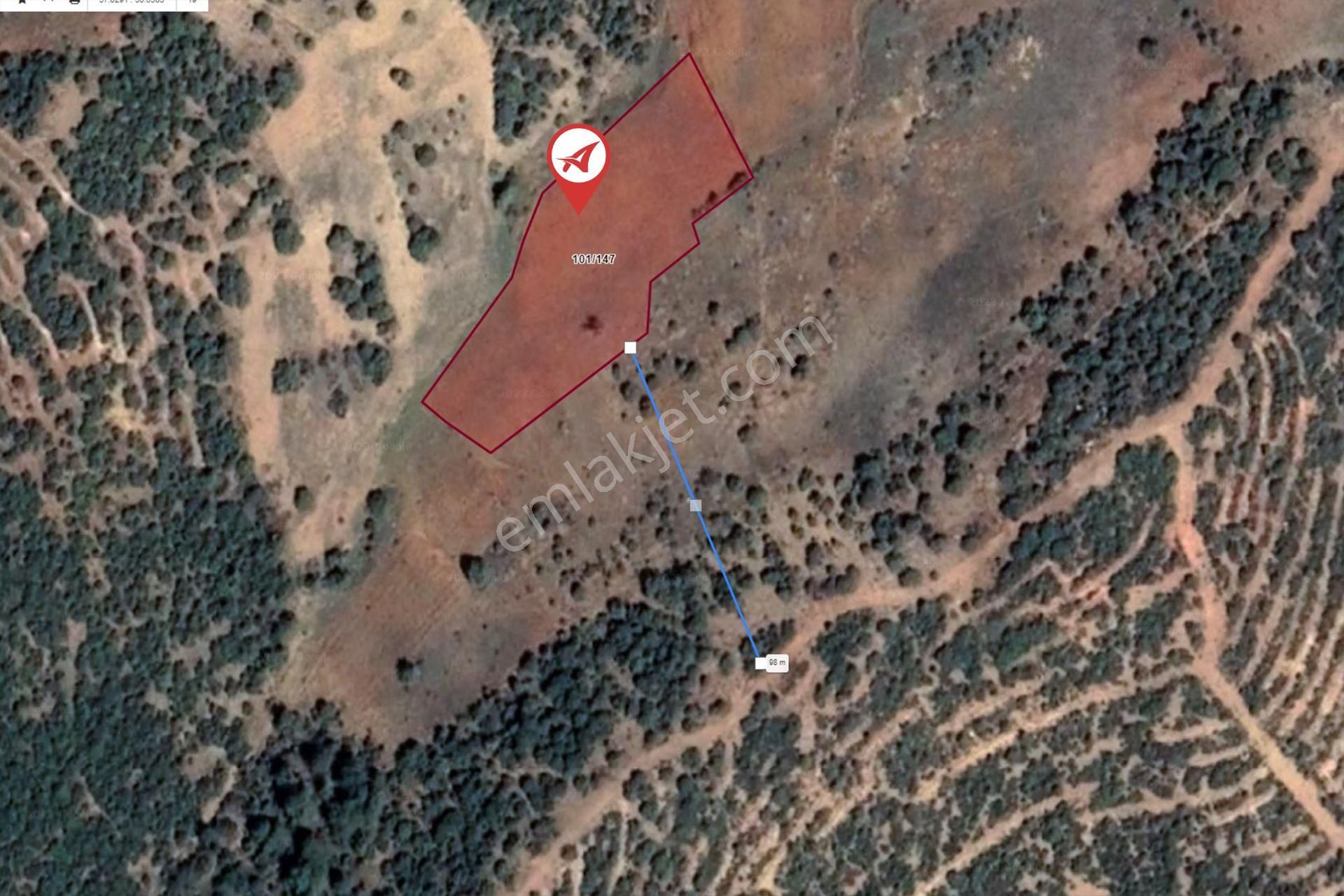 Afyonkarahisar-başmakçı-çığrı-satılık 4387m2-tarla - Görsel 11