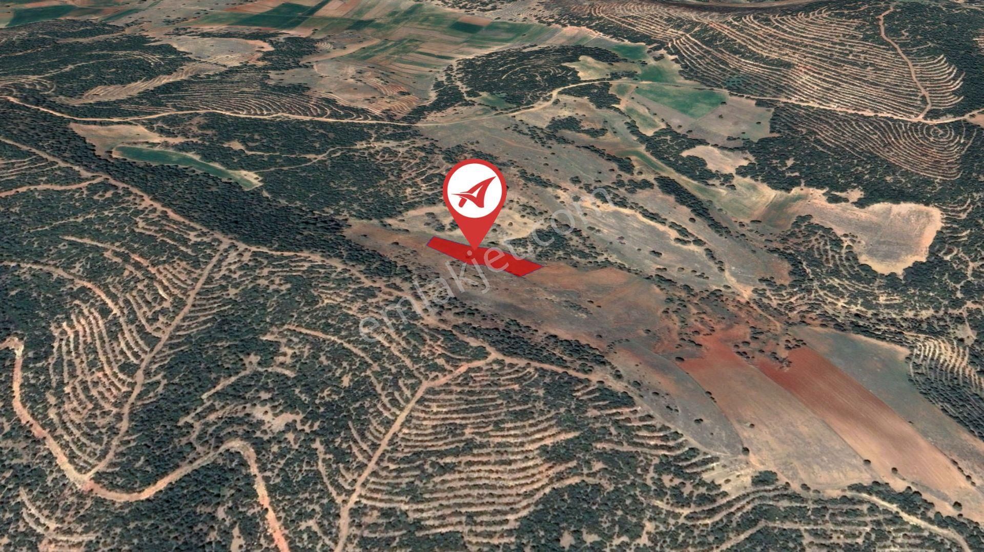 Afyonkarahisar-başmakçı-çığrı-satılık 4387m2-tarla - Görsel 5
