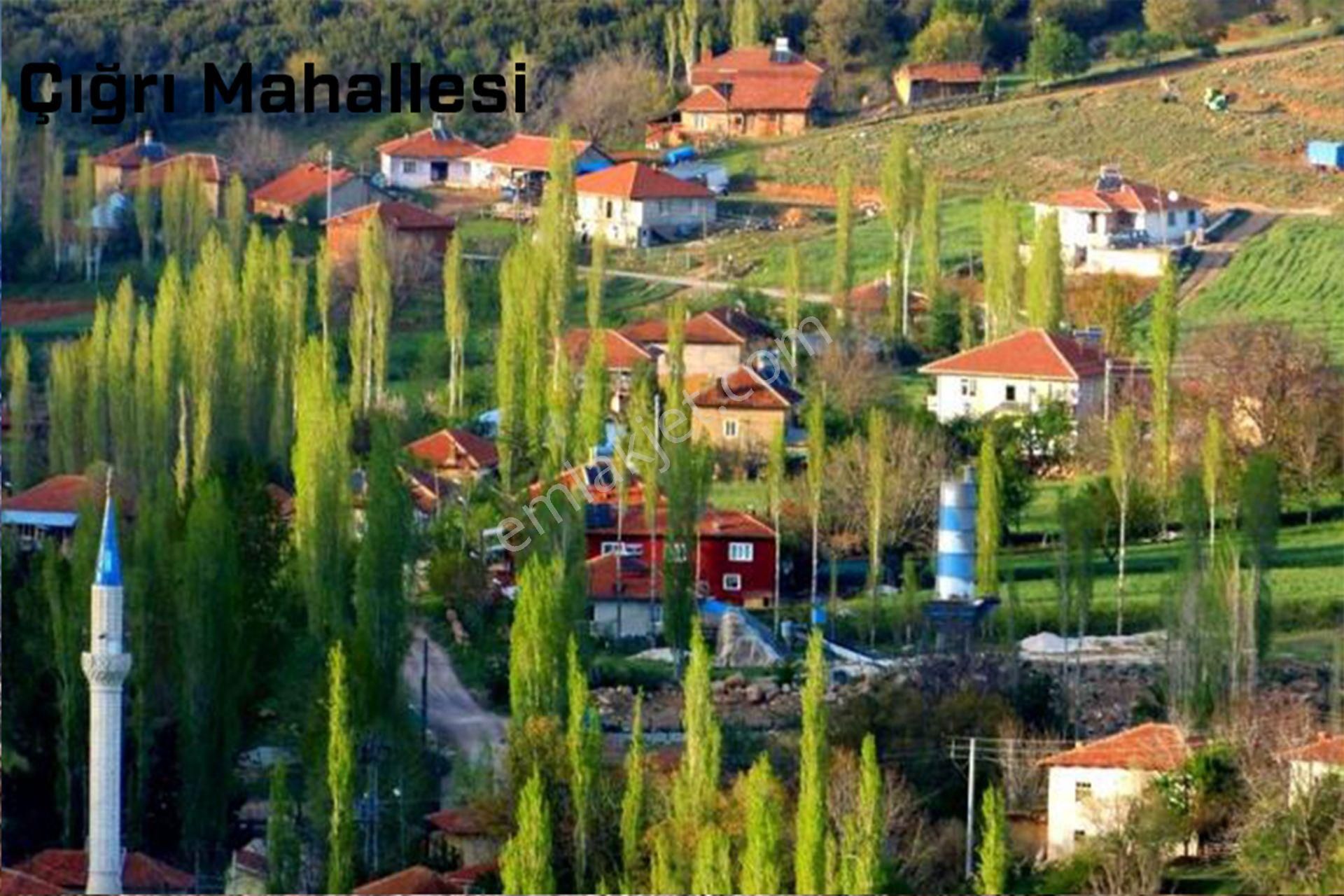 Afyonkarahisar-başmakçı-çığrı-satılık 4387m2-tarla - Görsel 25