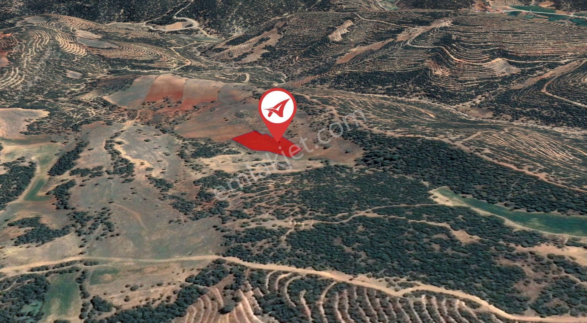 Afyonkarahisar-başmakçı-çığrı-satılık 4387m2-tarla - Görsel 2