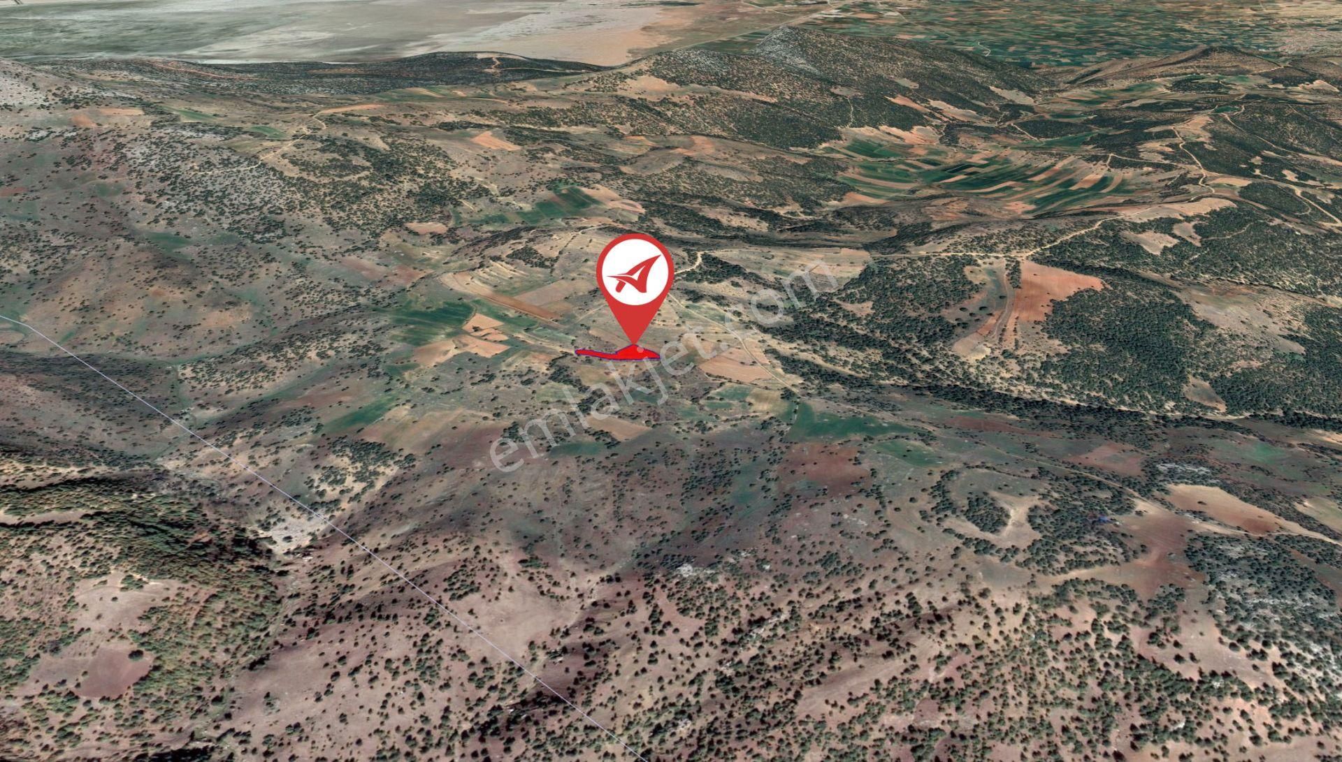 Afyonkarahisar-başmakçı-çığrı-satılık 3383m2-tarla - Görsel 9
