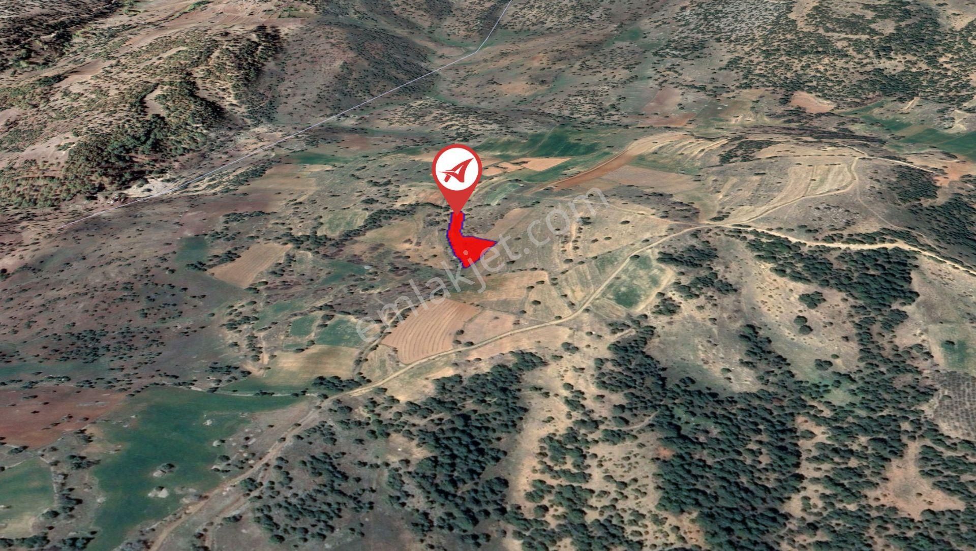 Afyonkarahisar-başmakçı-çığrı-satılık 3383m2-tarla - Görsel 7