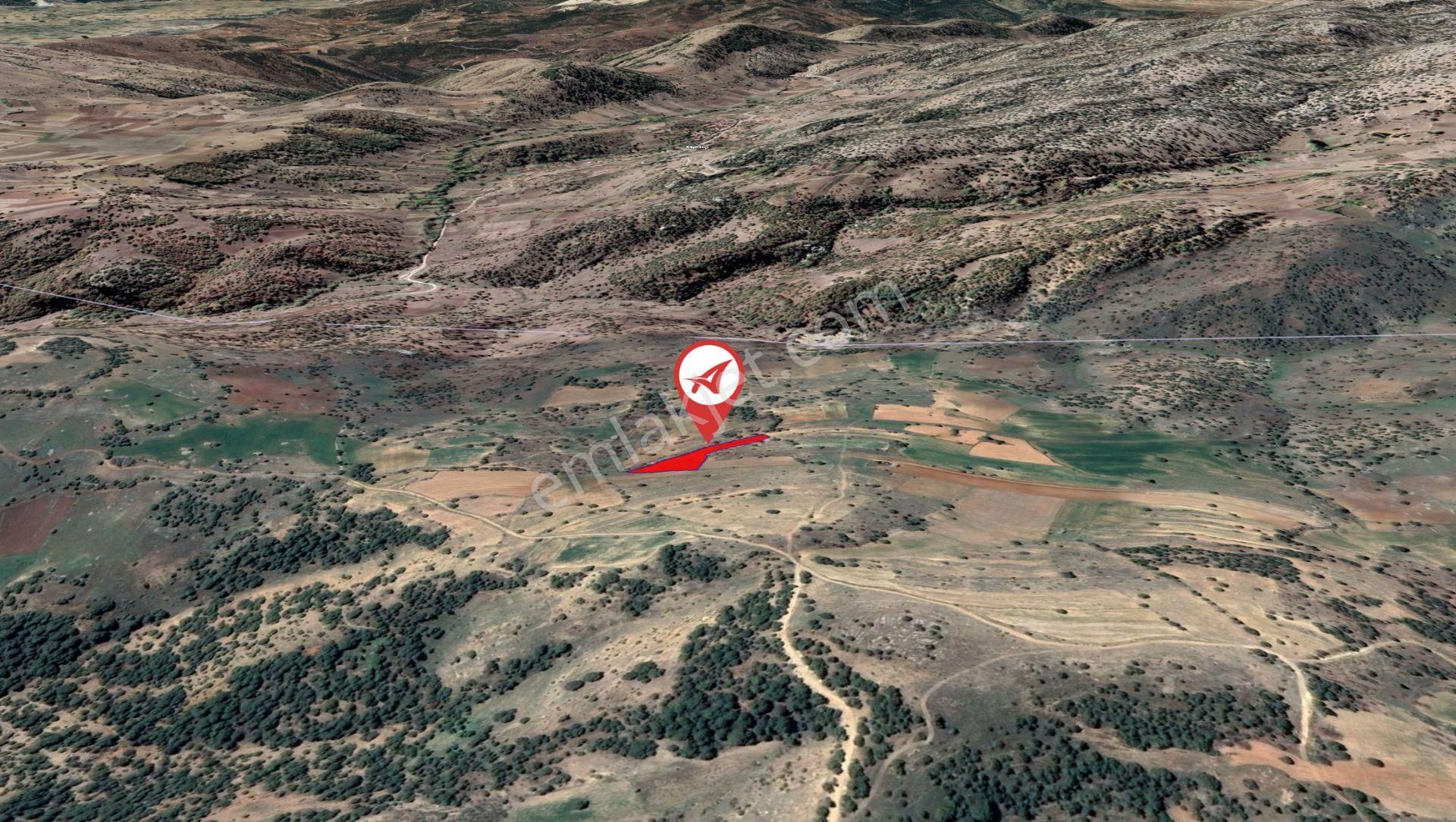 Afyonkarahisar-başmakçı-çığrı-satılık 3383m2-tarla - Görsel 8