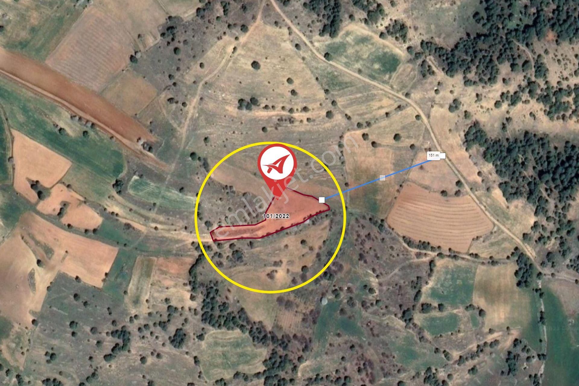 Afyonkarahisar-başmakçı-çığrı-satılık 3383m2-tarla - Görsel 12