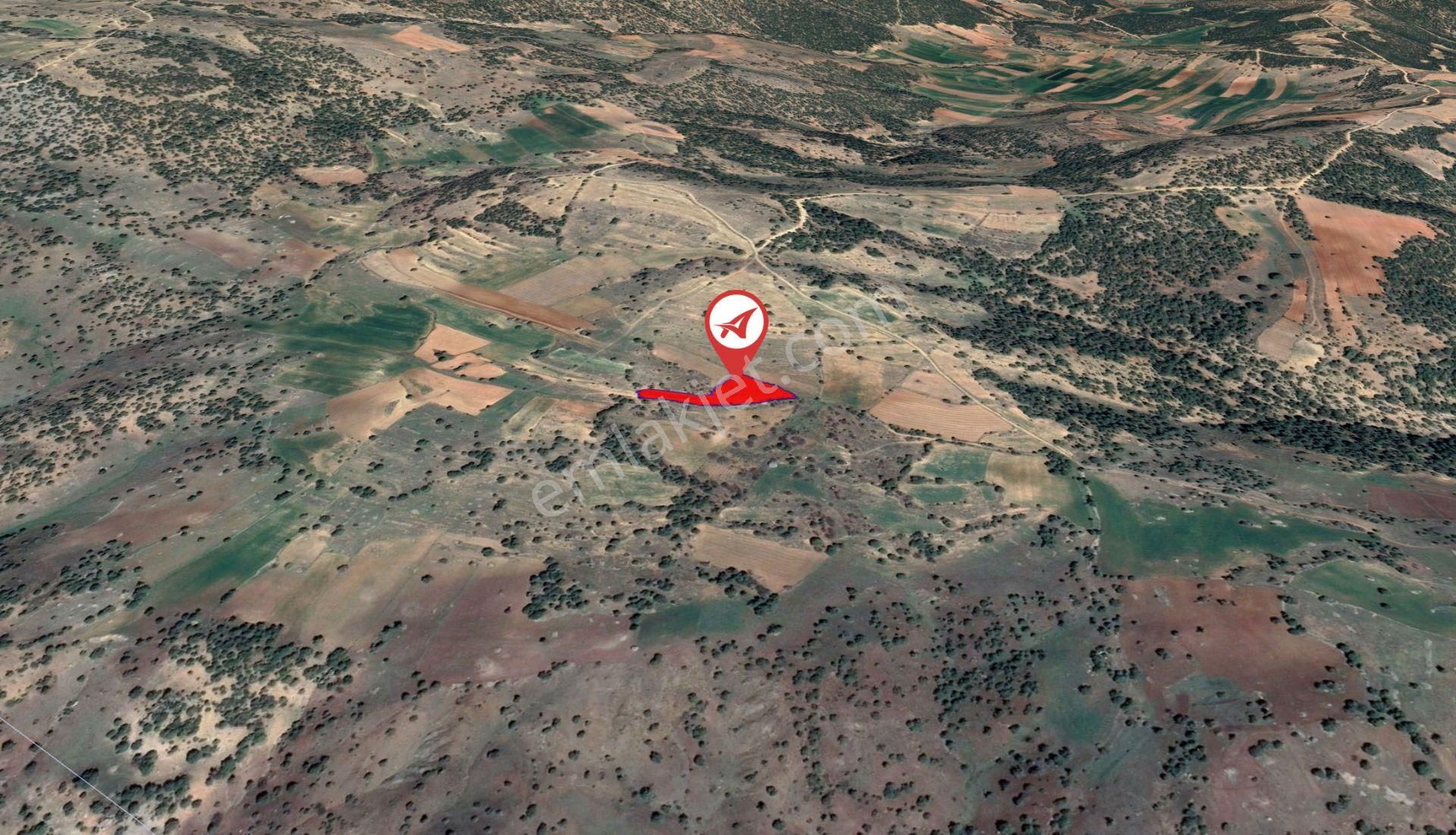 Afyonkarahisar-başmakçı-çığrı-satılık 3383m2-tarla - Görsel 5