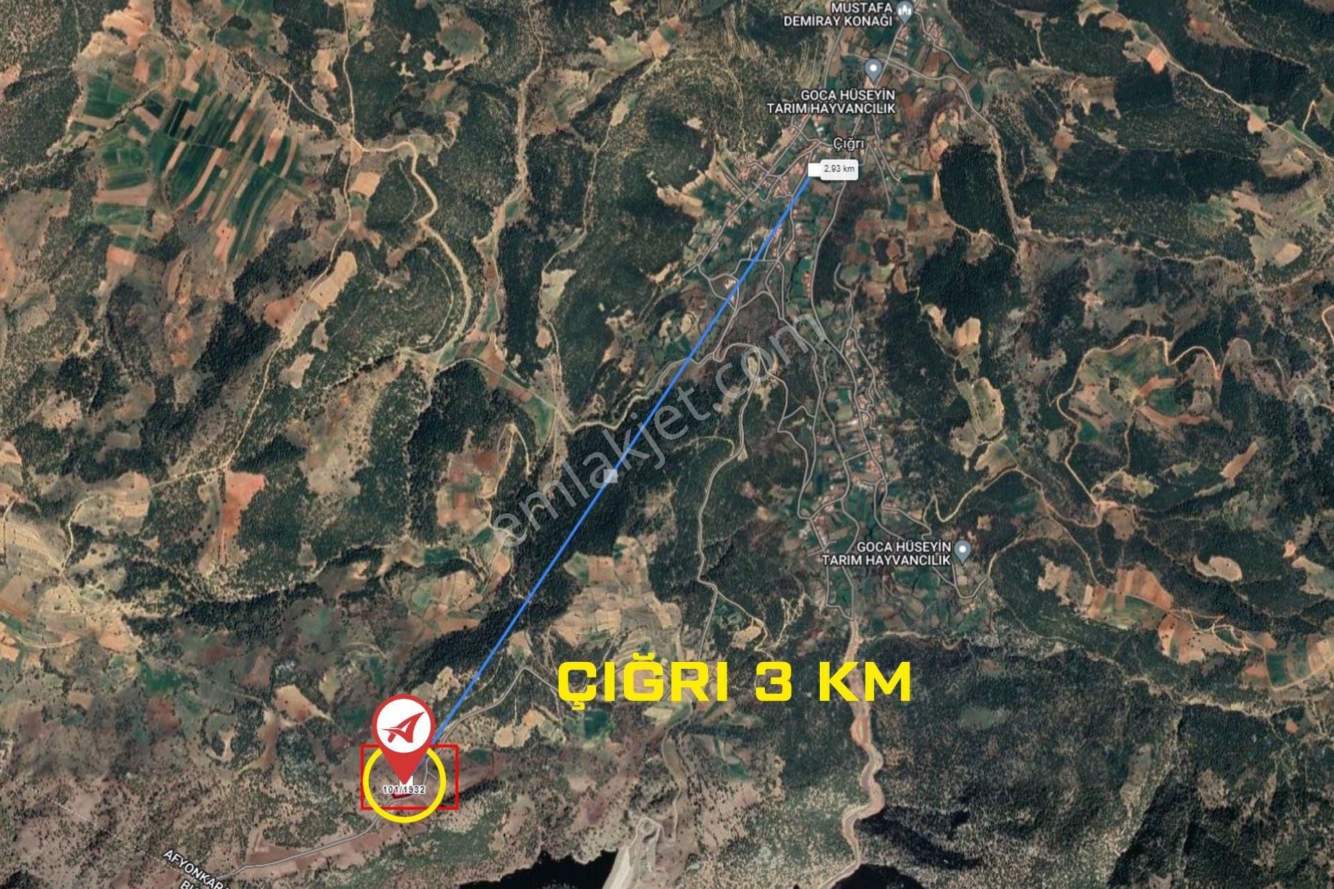 Afyonkarahisar-başmakçı-çığrı-satılık 3176m2-tarla - Görsel 23