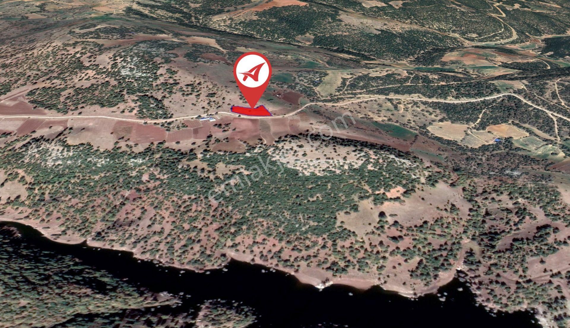 Afyonkarahisar-başmakçı-çığrı-satılık 3176m2-tarla - Görsel 12