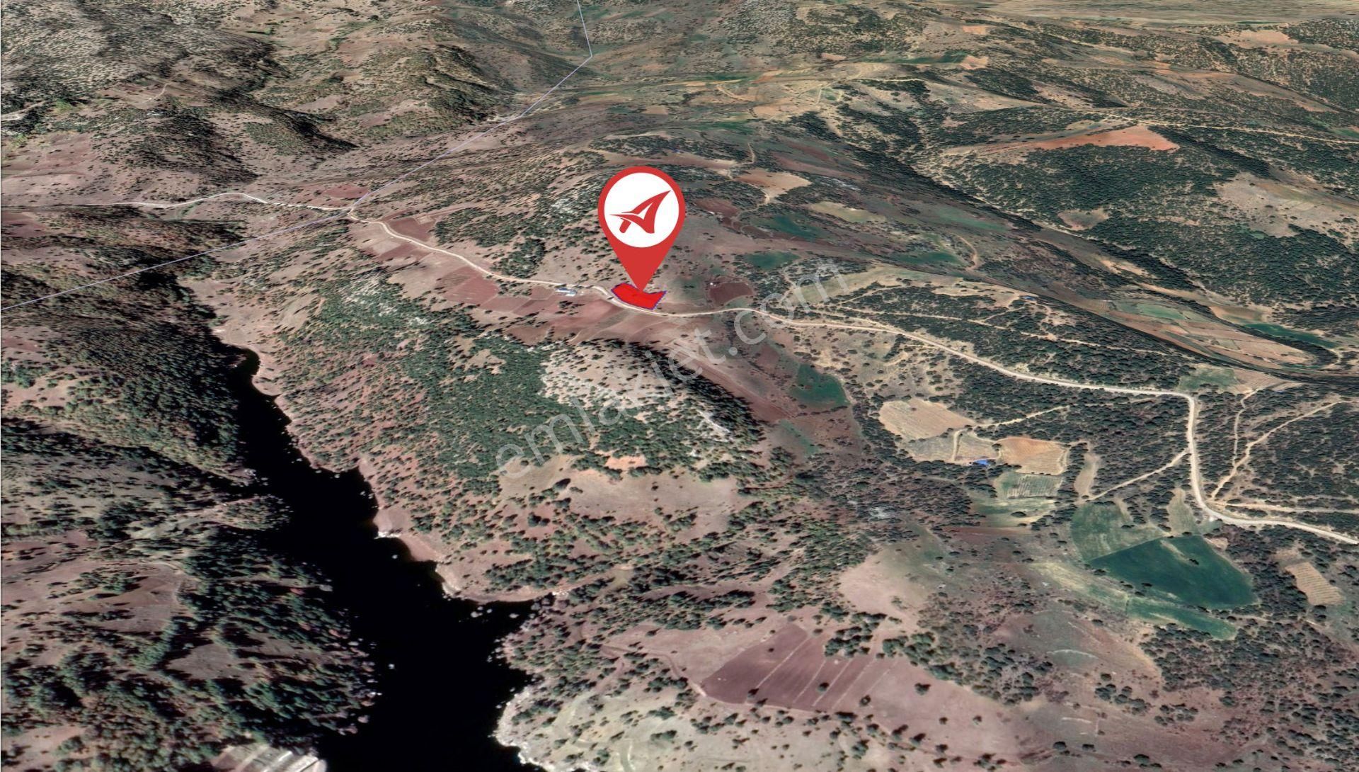 Afyonkarahisar-başmakçı-çığrı-satılık 3176m2-tarla - Görsel 13