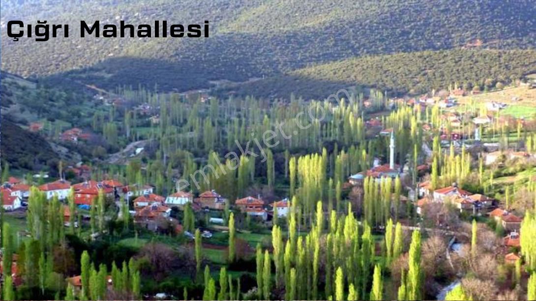 Afyonkarahisar-başmakçı-çığrı-satılık 3176m2-tarla - Görsel 3