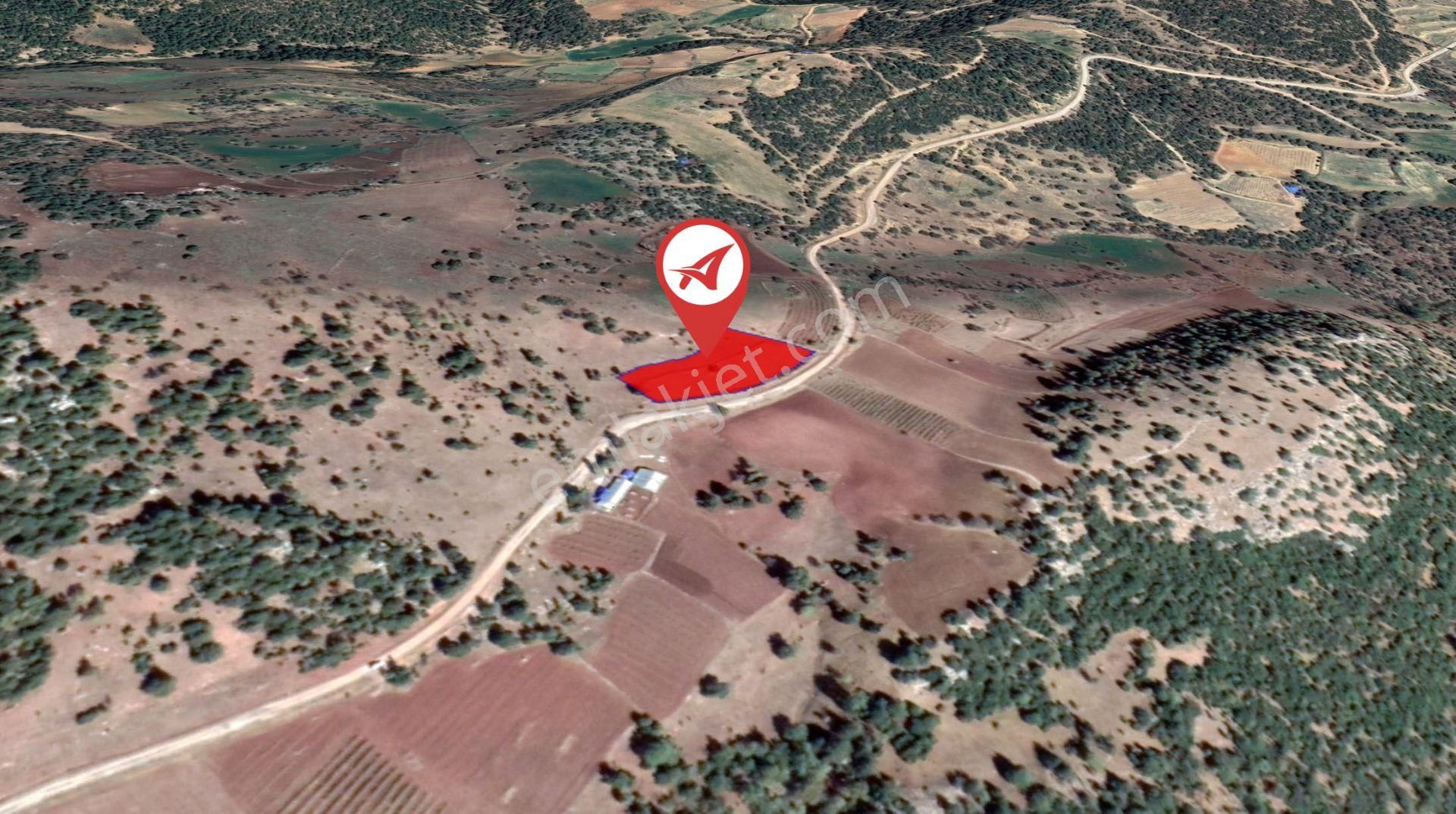 Afyonkarahisar-başmakçı-çığrı-satılık 3176m2-tarla - Görsel 10