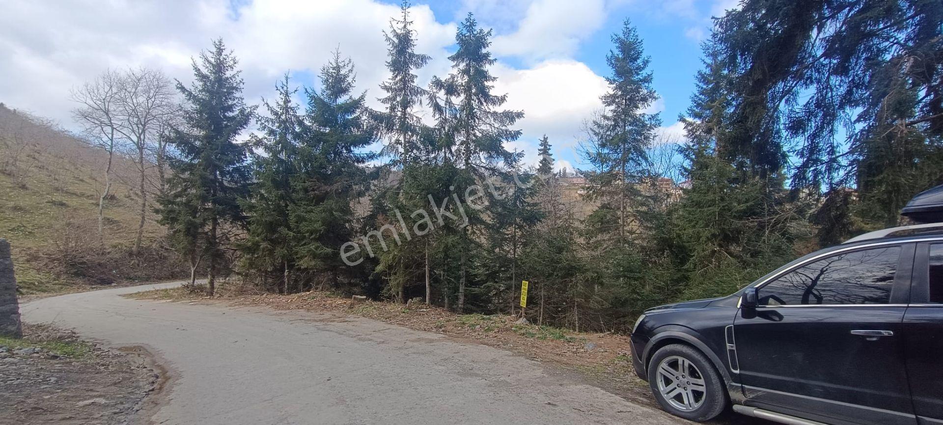 Kamer'den Ortahisar,aydınlı'da Satılık Arazi - Görsel 9