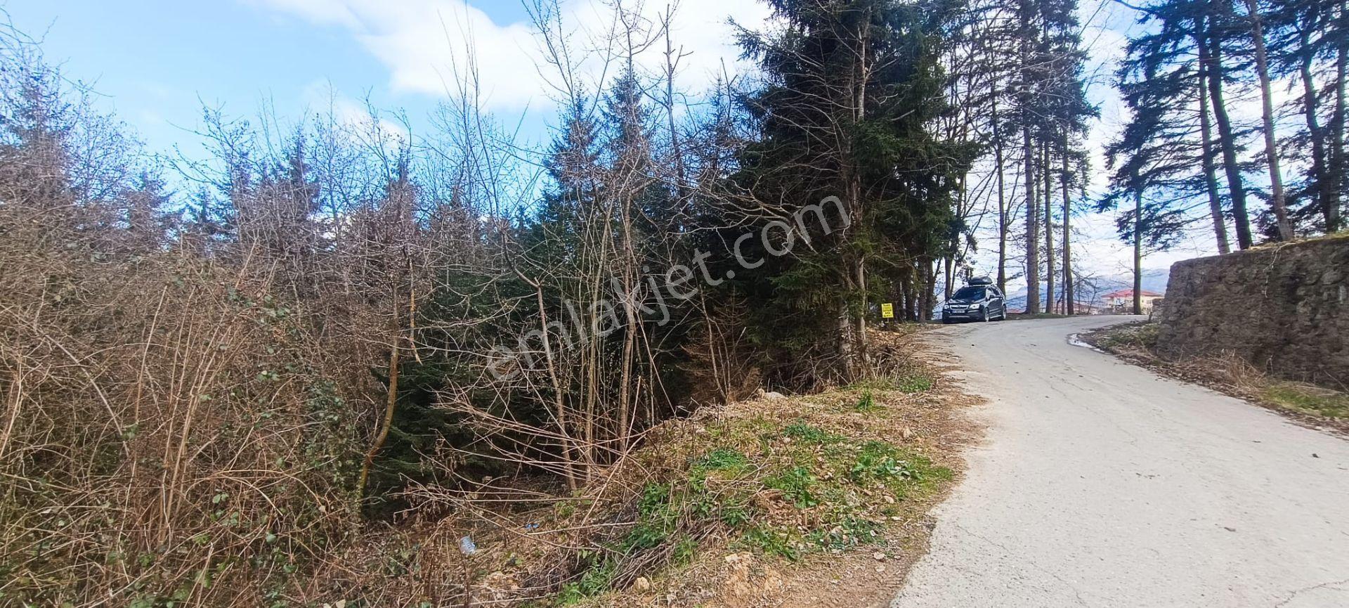 Kamer'den Ortahisar,aydınlı'da Satılık Arazi - Görsel 26