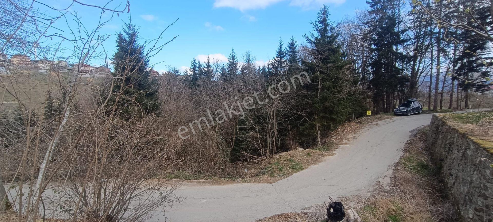 Kamer'den Ortahisar,aydınlı'da Satılık Arazi - Görsel 19