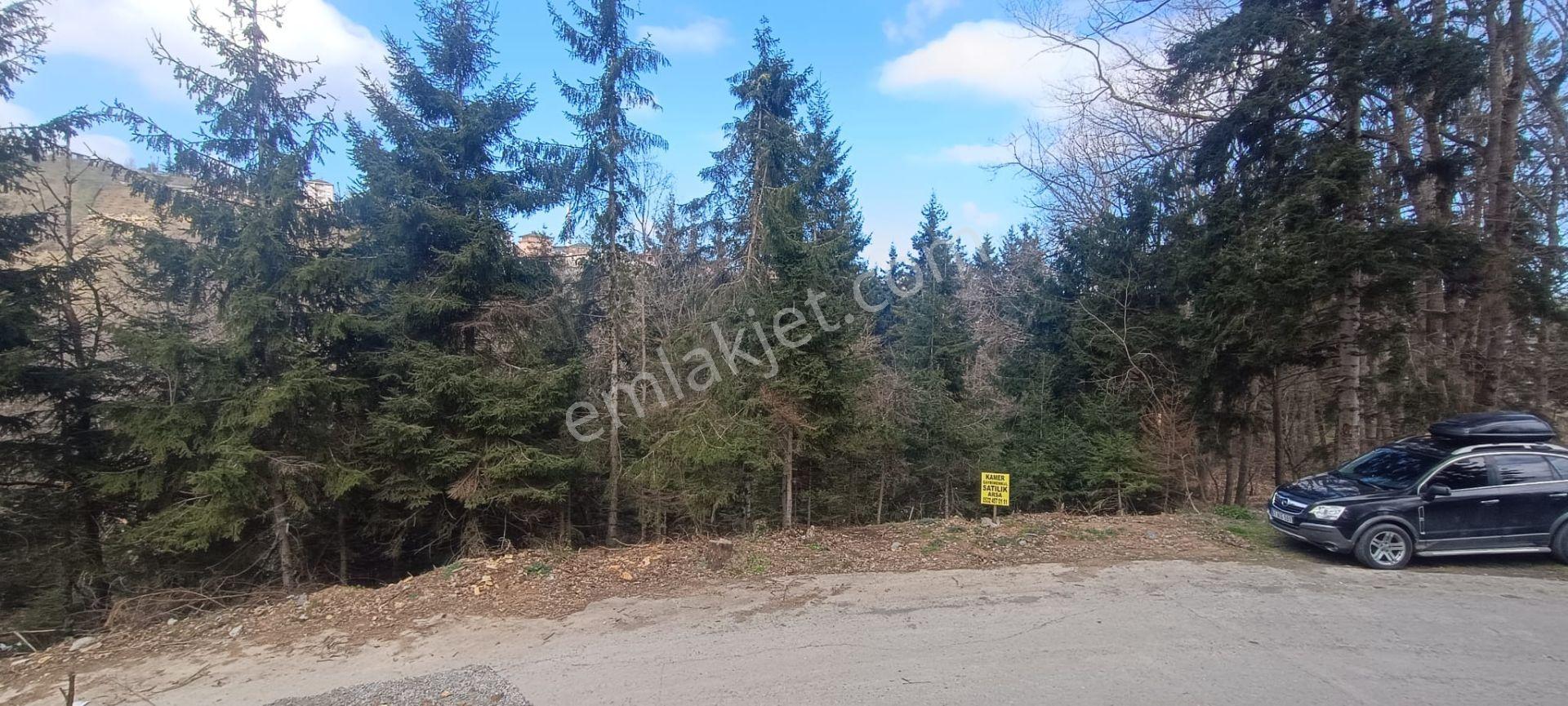 Kamer'den Ortahisar,aydınlı'da Satılık Arazi - Görsel 15