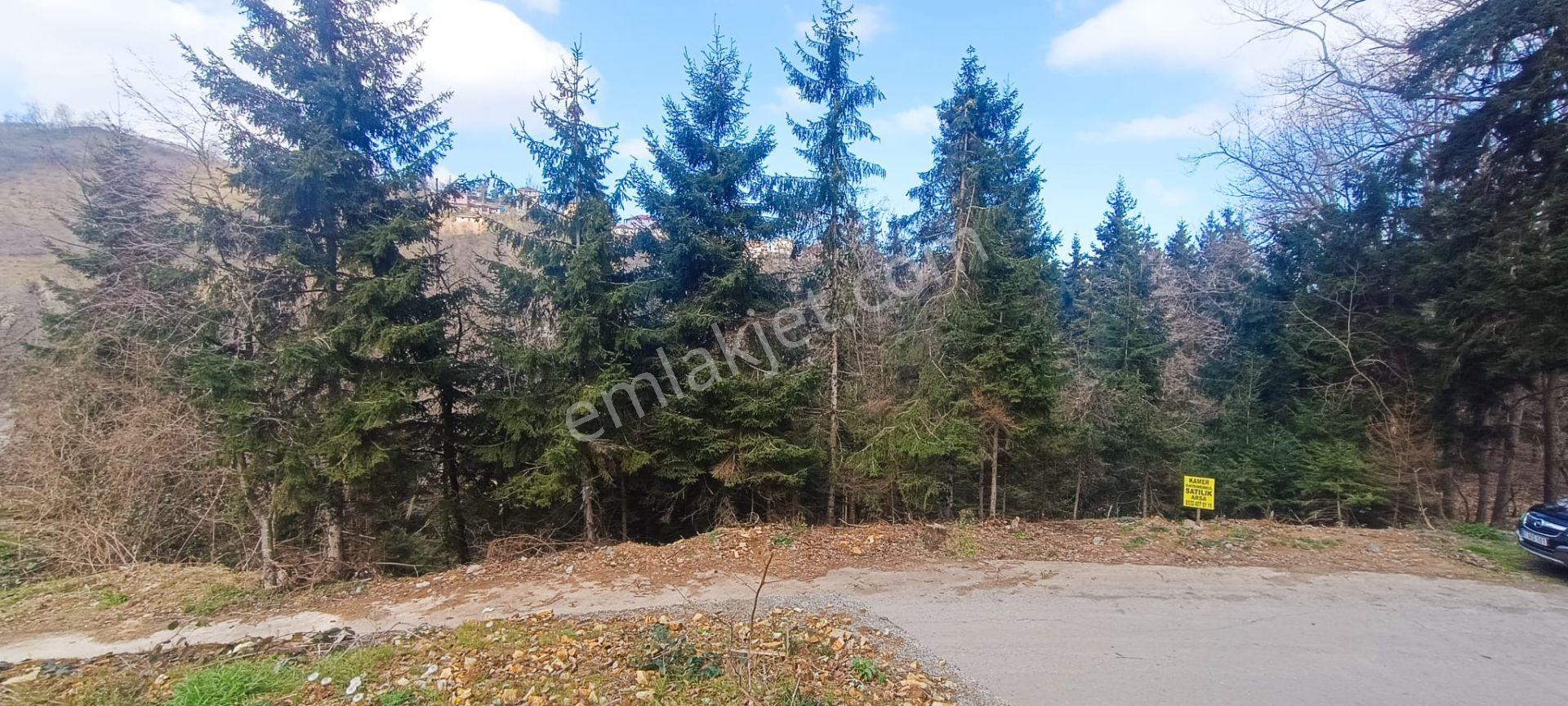 Kamer'den Ortahisar,aydınlı'da Satılık Arazi - Görsel 29
