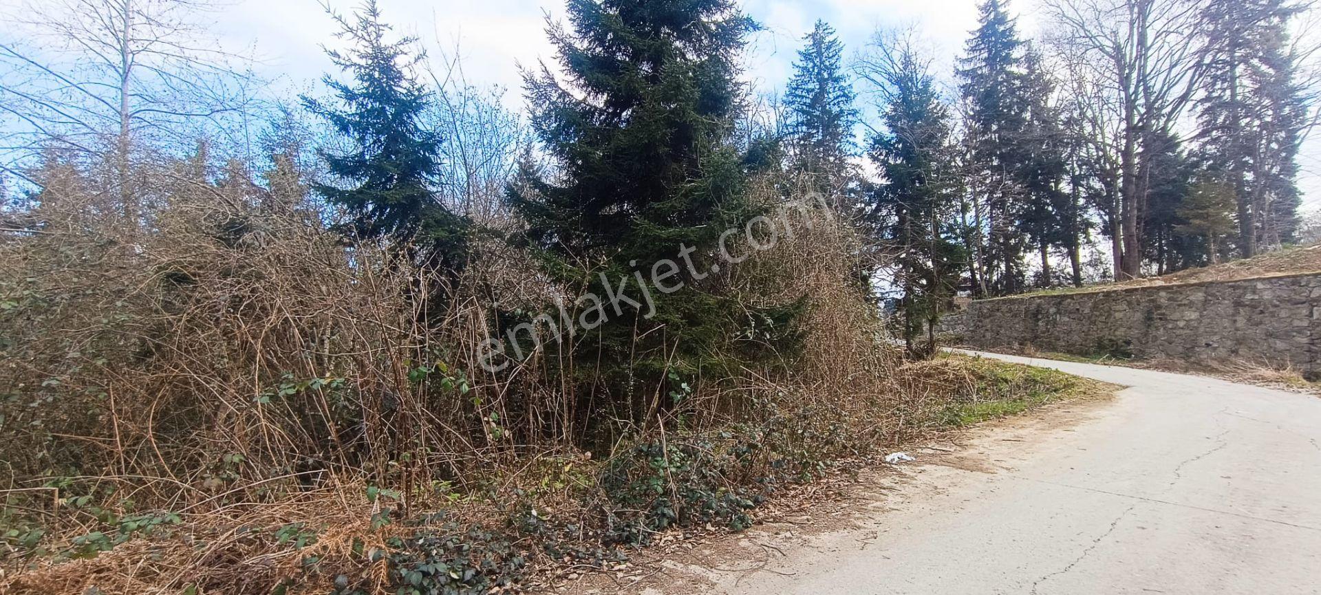 Kamer'den Ortahisar,aydınlı'da Satılık Arazi - Görsel 20