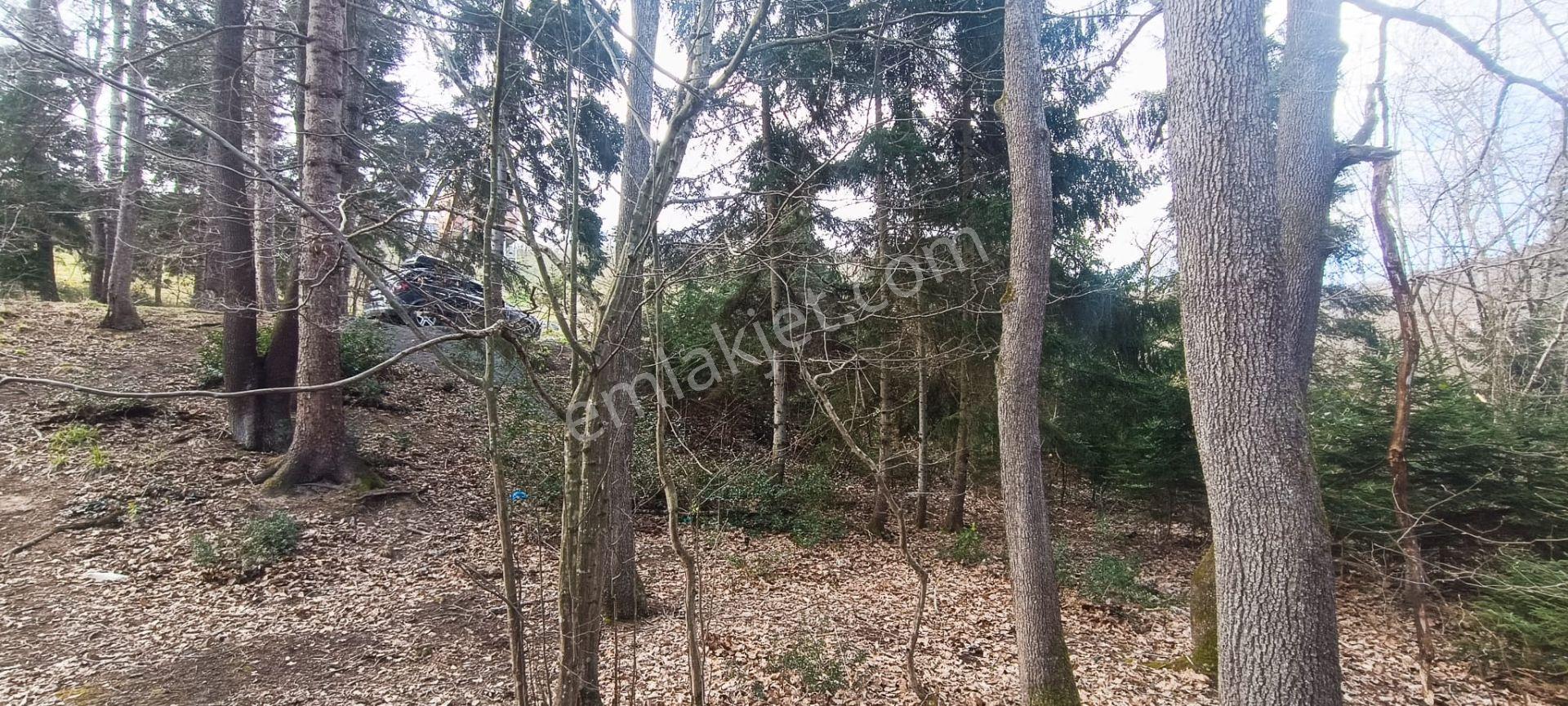 Kamer'den Ortahisar,aydınlı'da Satılık Arazi - Görsel 25