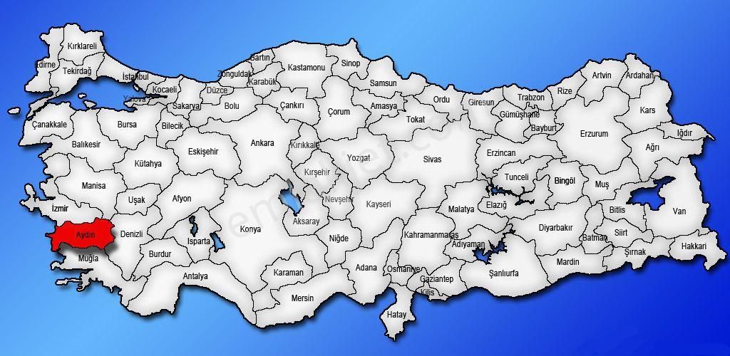 Aydın Çine Bağlarbaşı Satılık 565m2 Tarla - Görsel 19