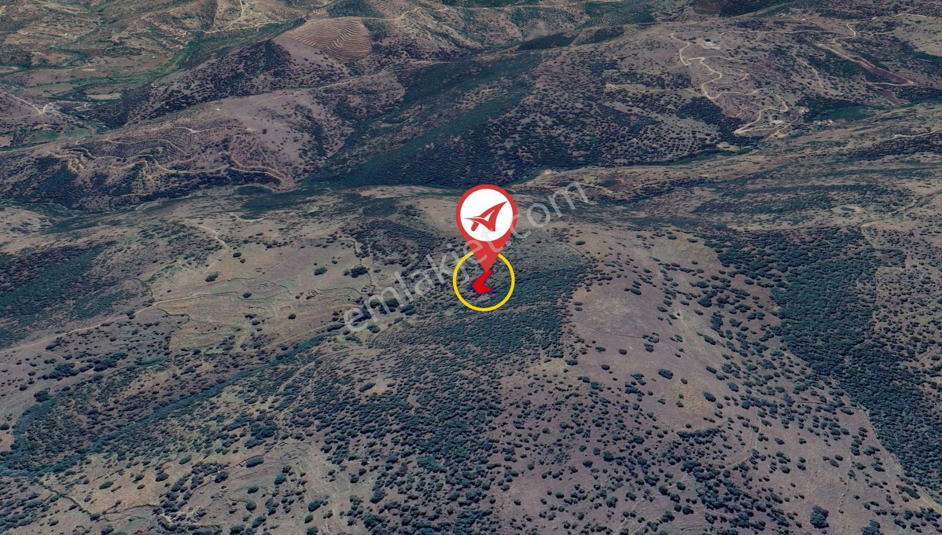 Aydın Çine Bağlarbaşı Satılık 565m2 Tarla - Görsel 4