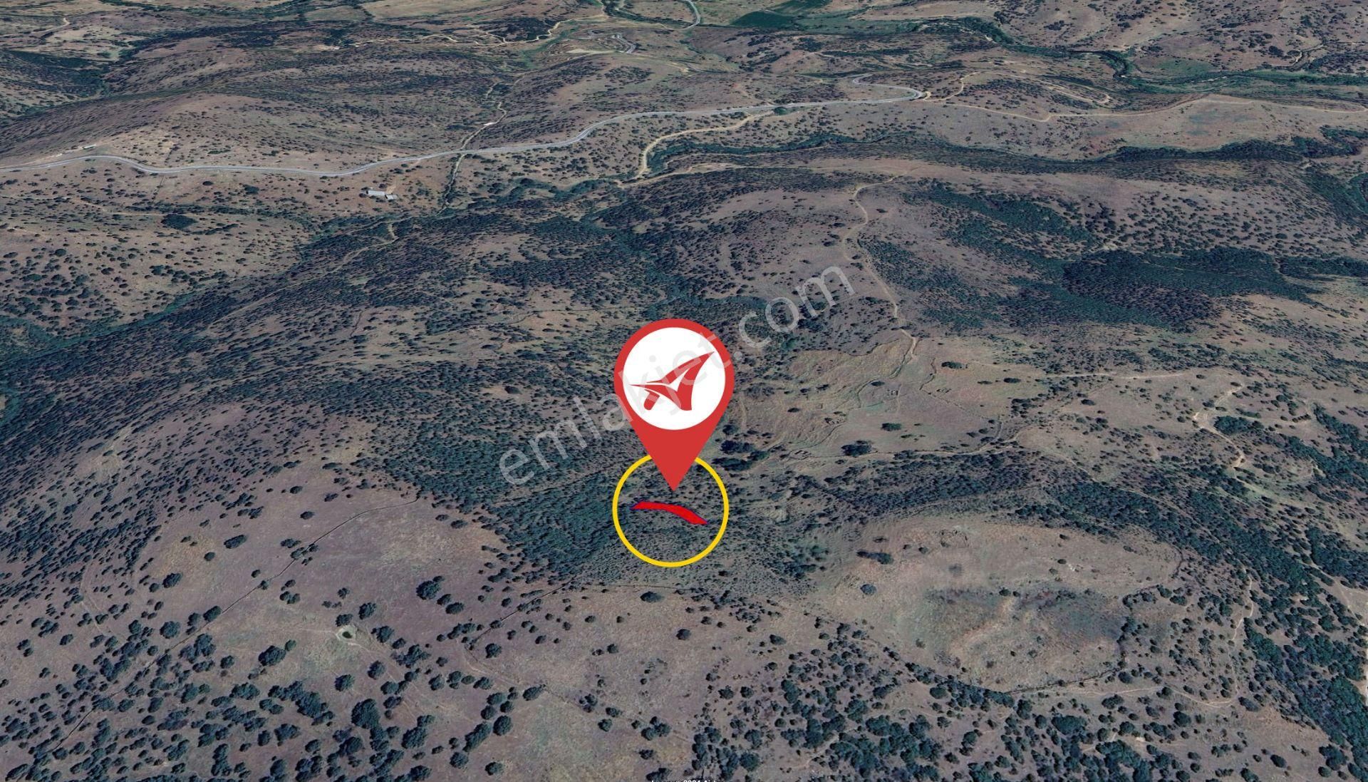Aydın Çine Bağlarbaşı Satılık 565m2 Tarla - Görsel 5