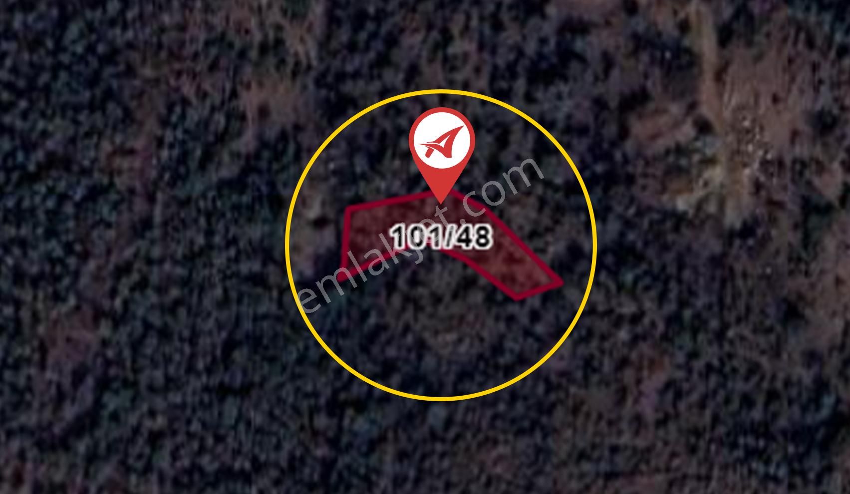 Aydın Çine Bağlarbaşı Satılık 565m2 Tarla - Görsel 10
