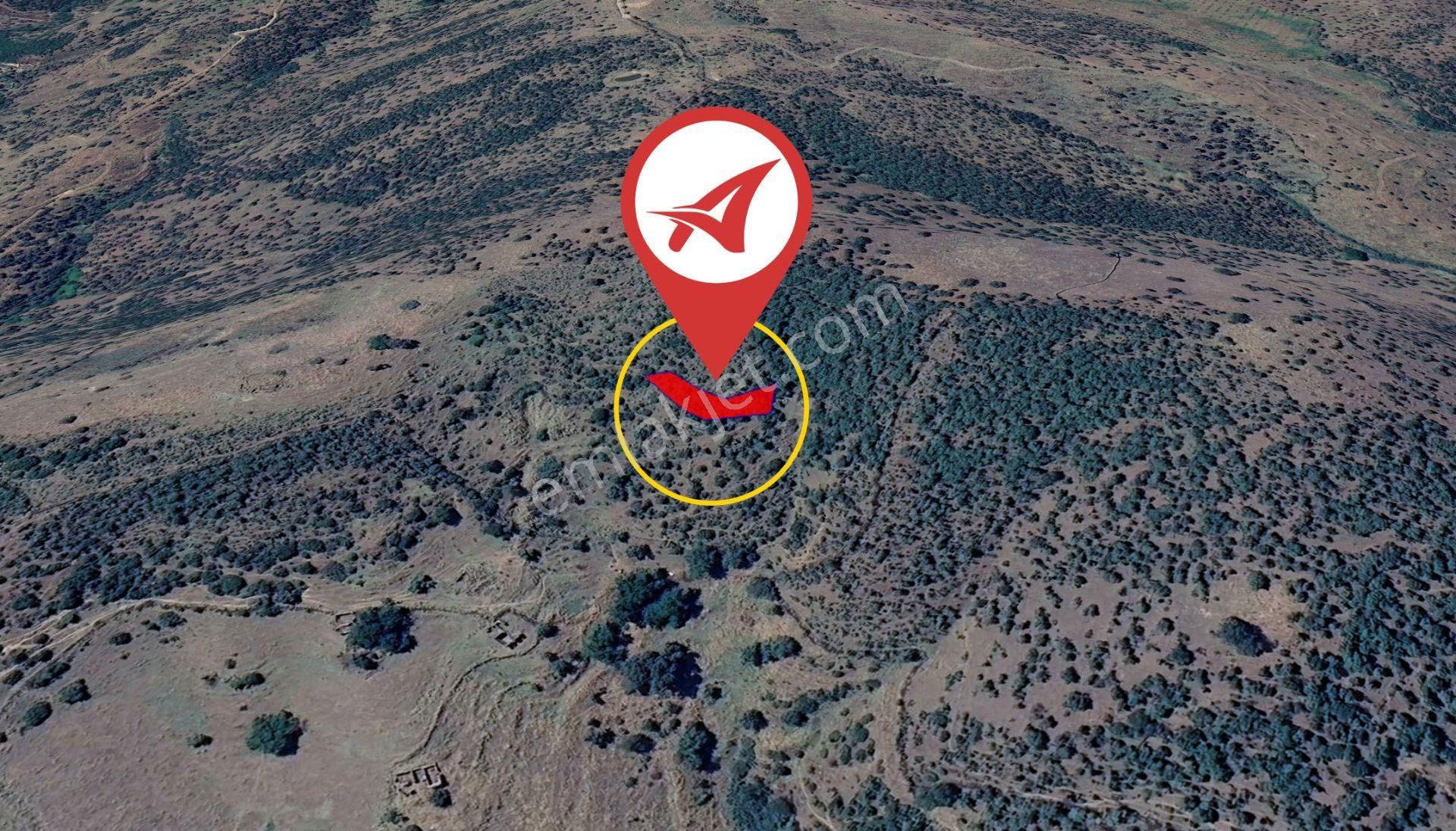 Aydın Çine Bağlarbaşı Satılık 565m2 Tarla - Görsel 2