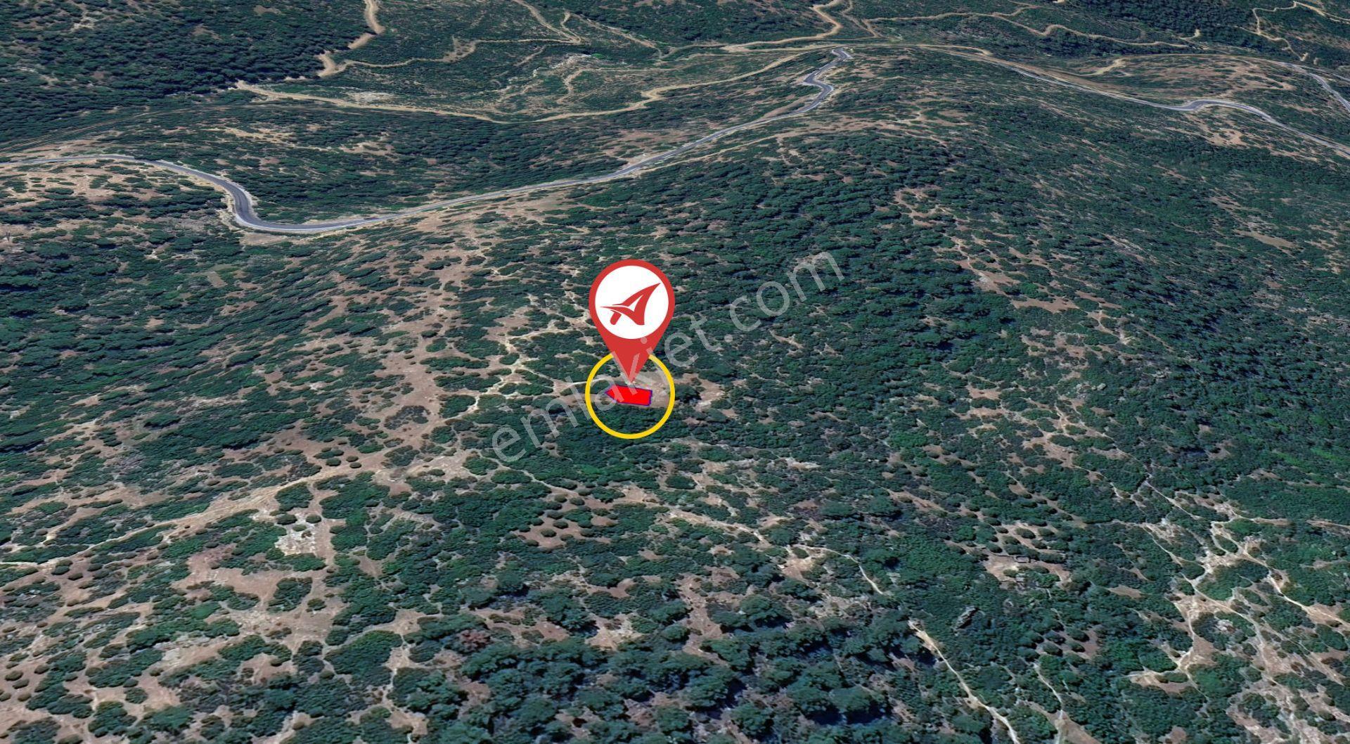 Aydın / Çine / Kavşit Satılık 163m2 Ağıl - Görsel 13