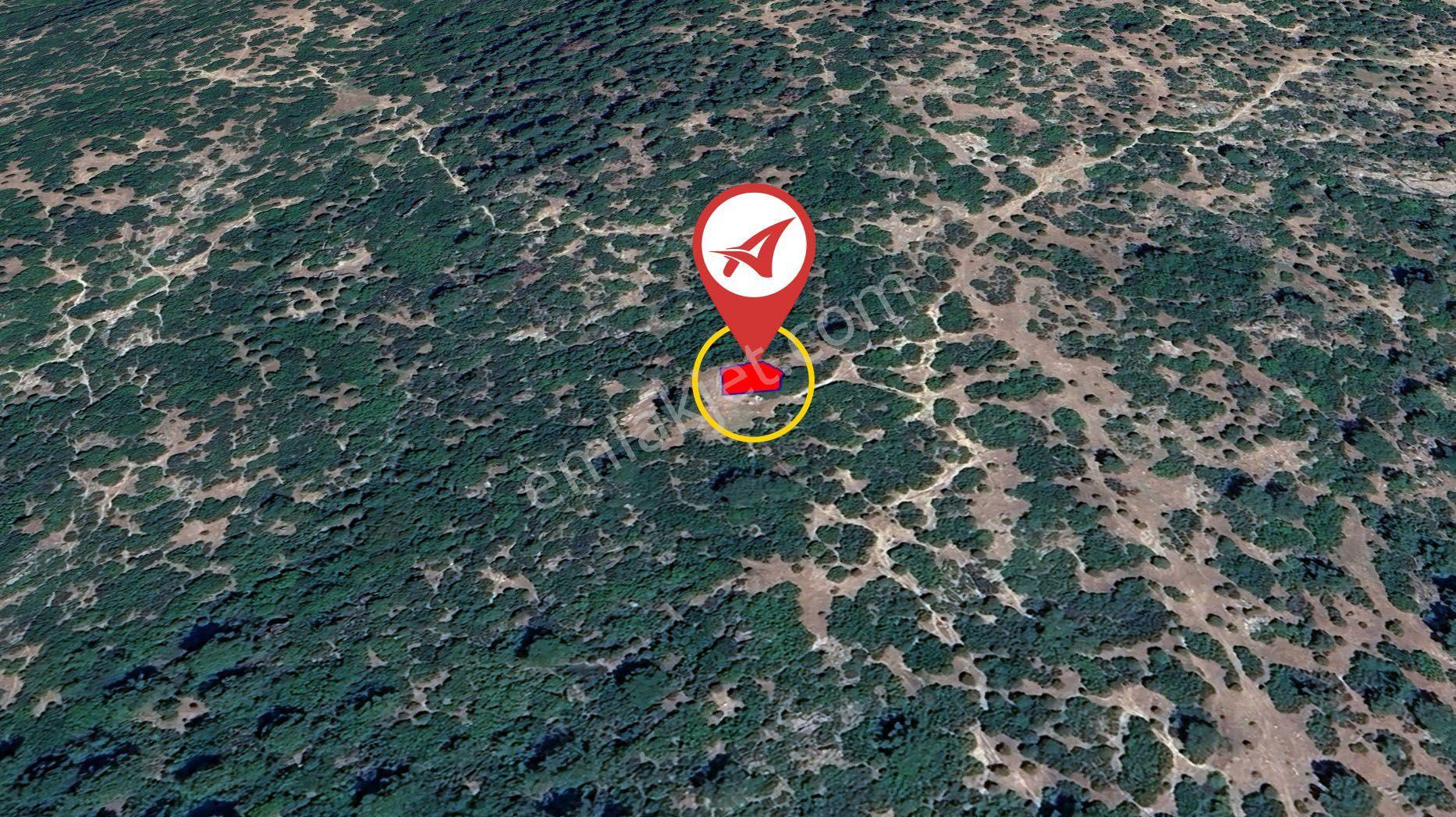 Aydın / Çine / Kavşit Satılık 163m2 Ağıl - Görsel 9