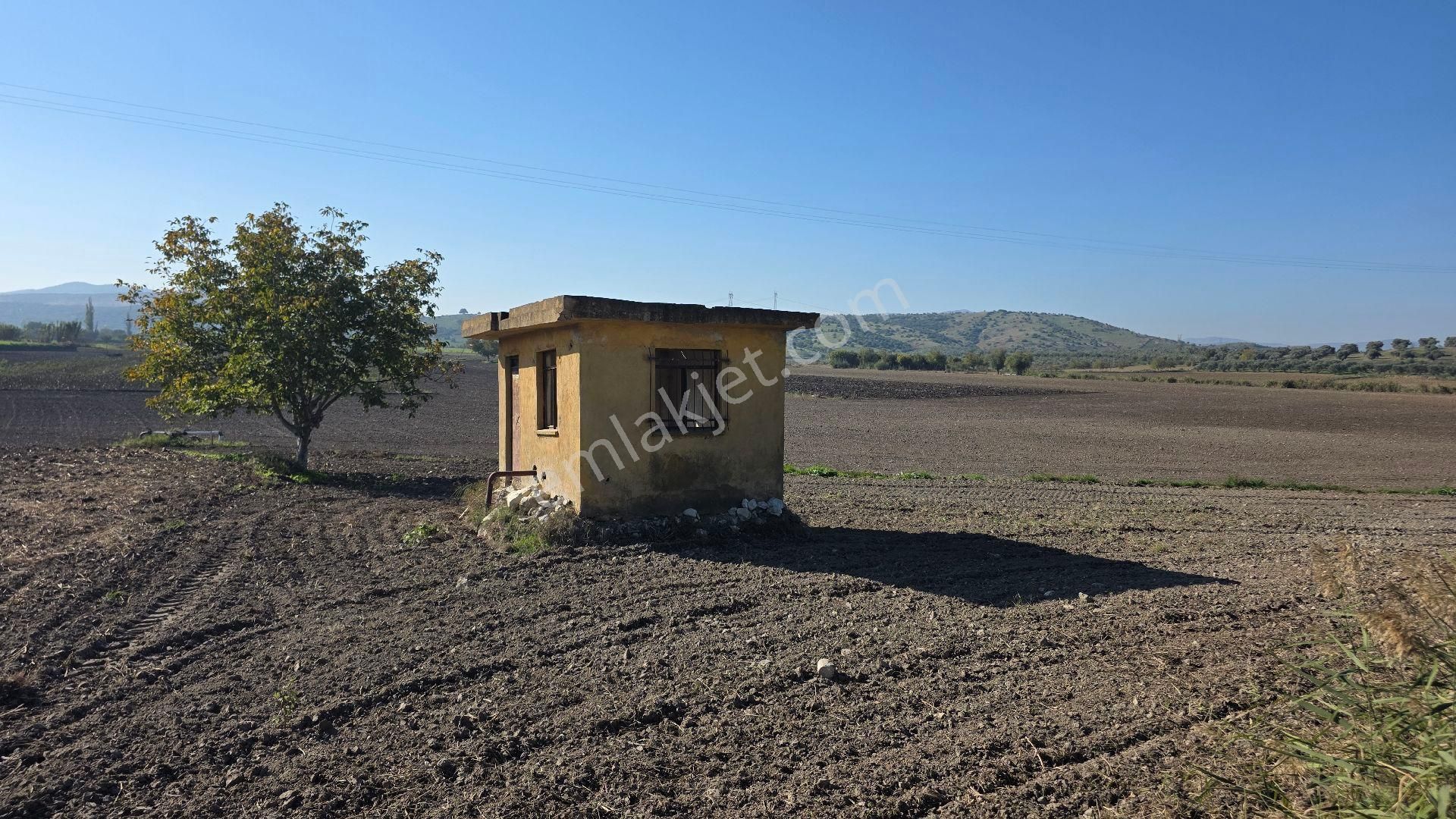 İzmir Tire Sb Emlak Ofisinden Ayaklıkırı'nda Arazi(hobi Bahçesi) - Görsel 4