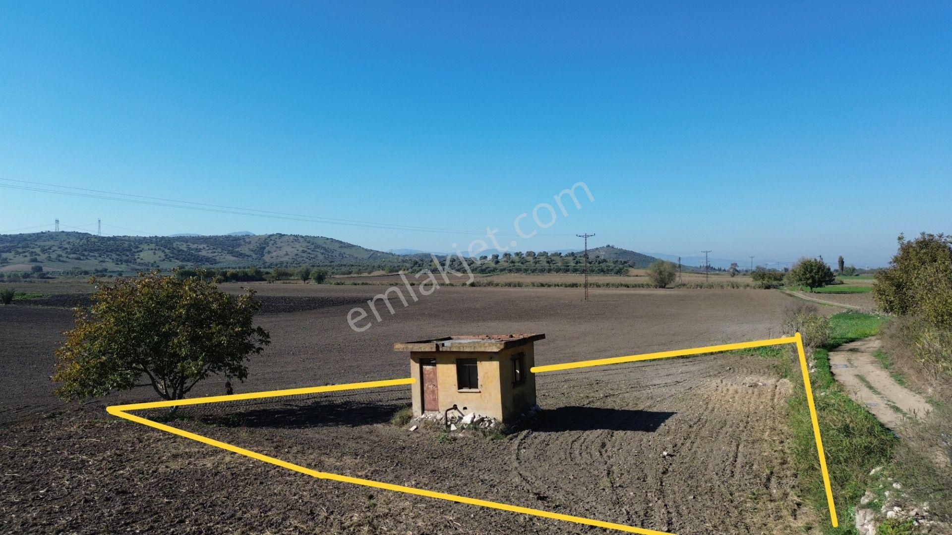 İzmir Tire Sb Emlak Ofisinden Ayaklıkırı'nda Arazi(hobi Bahçesi)