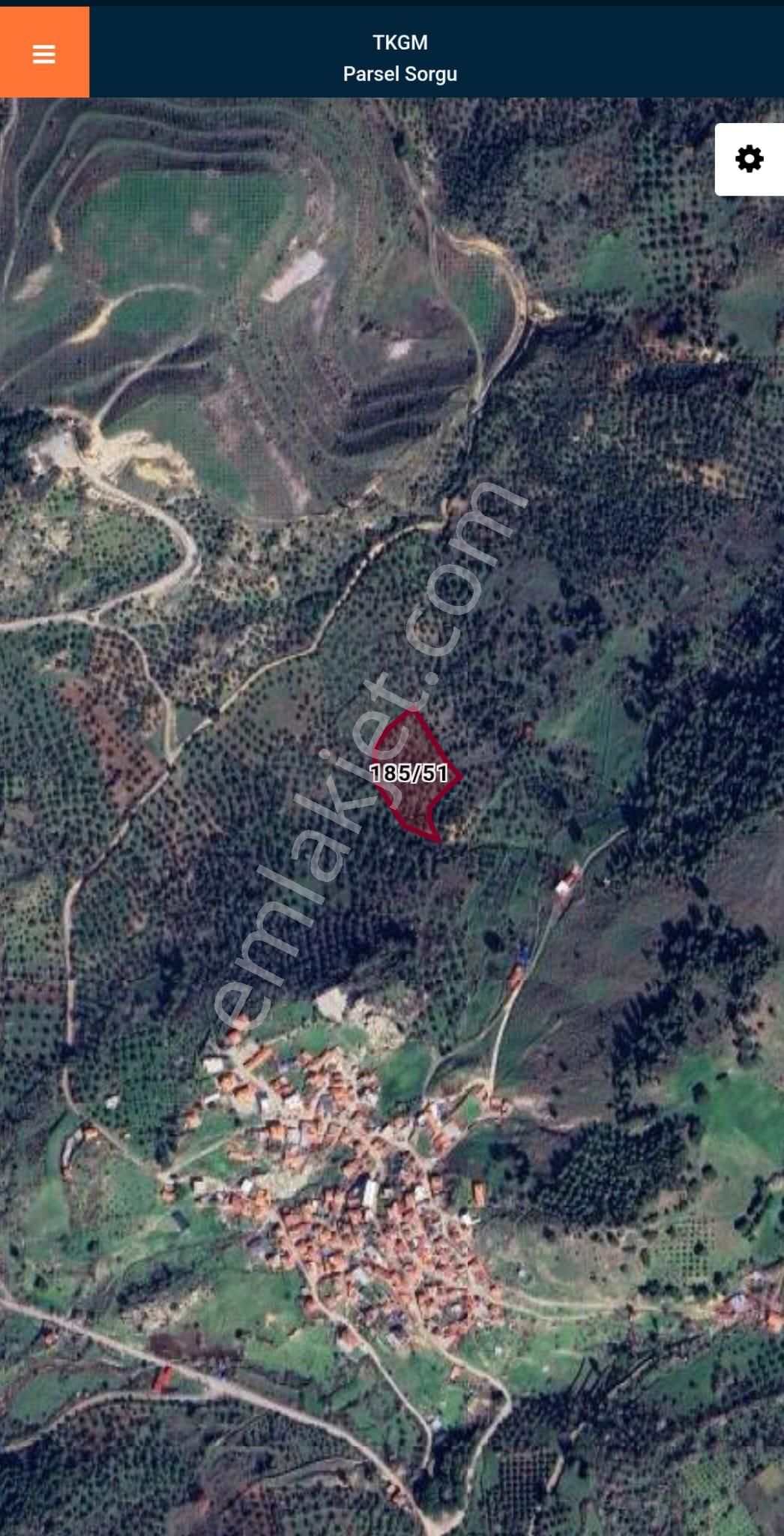 Golden Globy, Burhaniye Dutluca'da Yerleşim Yerine 250 Metre Mesafede Satılık 6.378 M2 Zeytinlik