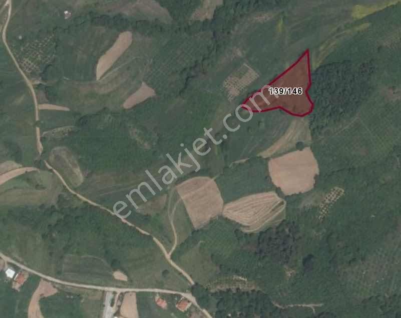 Yoldaş Emlaktan Kandırada Teksen Mah 4600 M2 Tarla - Görsel 5