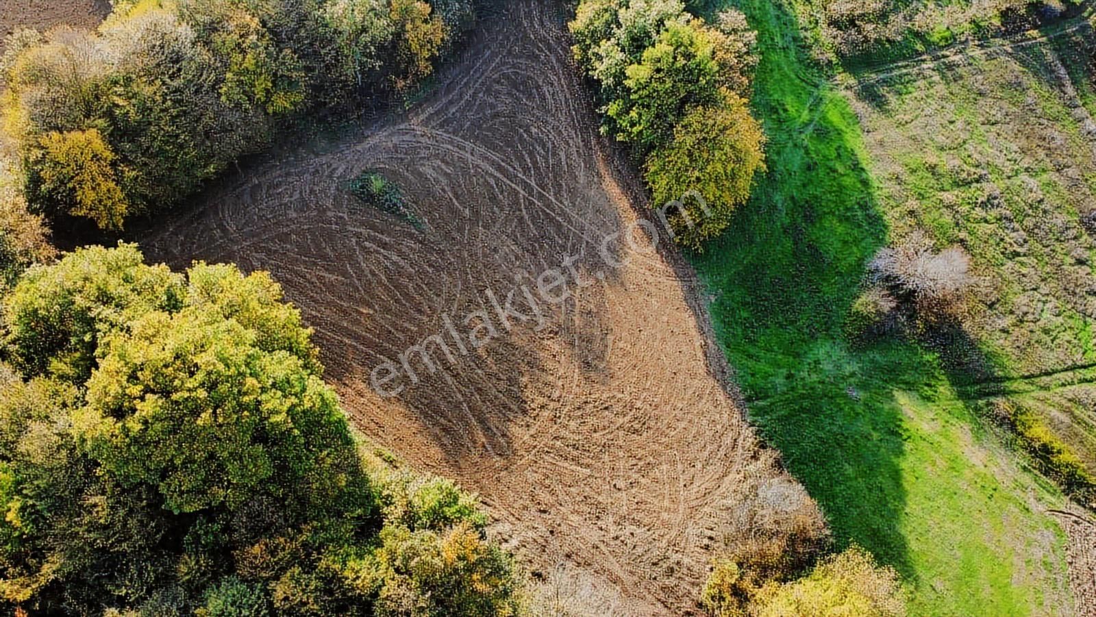 Yoldaş Emlaktan Kandırada Teksen Mah 4600 M2 Tarla - Görsel 16